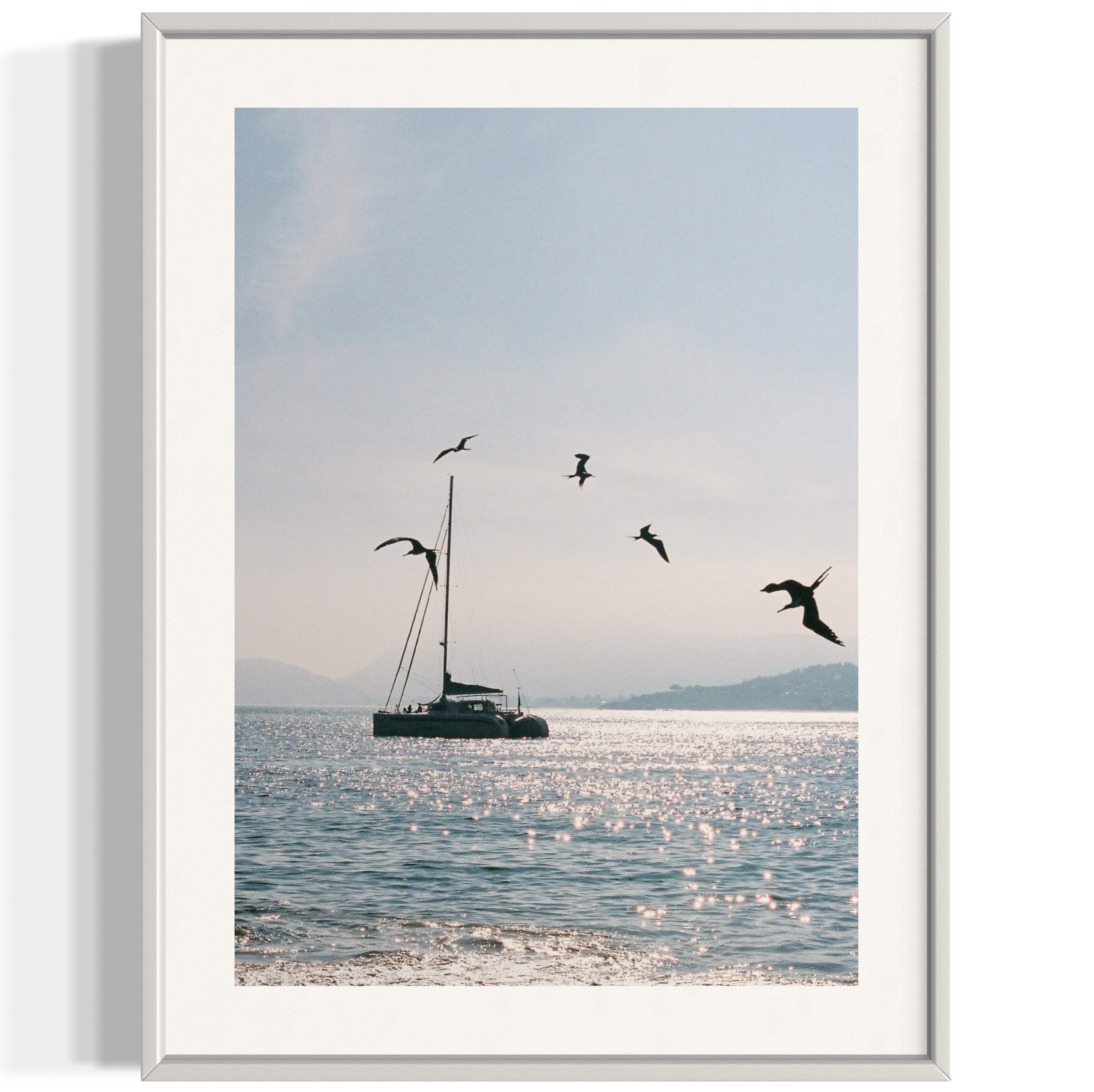 Morning Dive - Wall of Venus