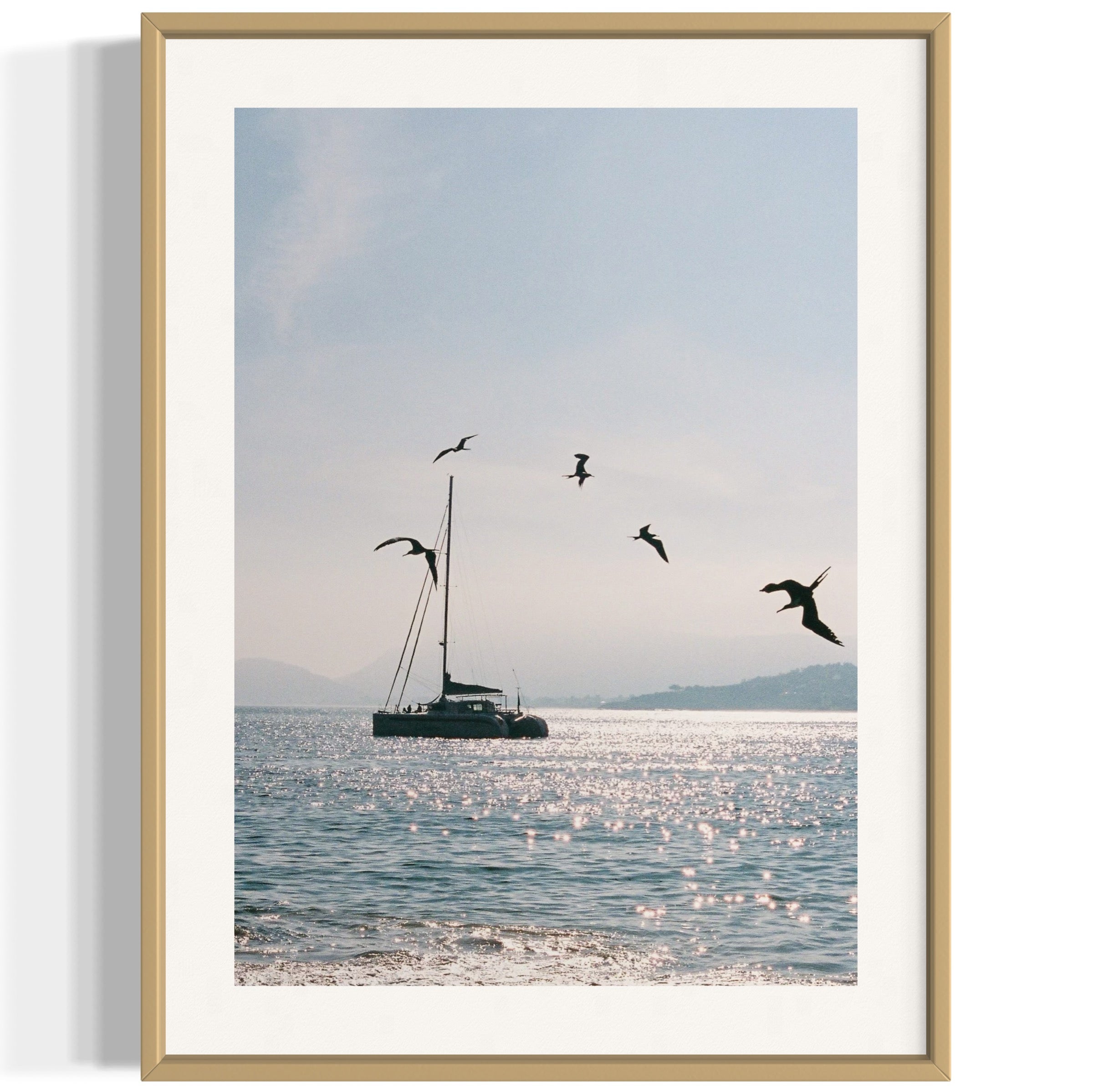 Morning Dive - Wall of Venus