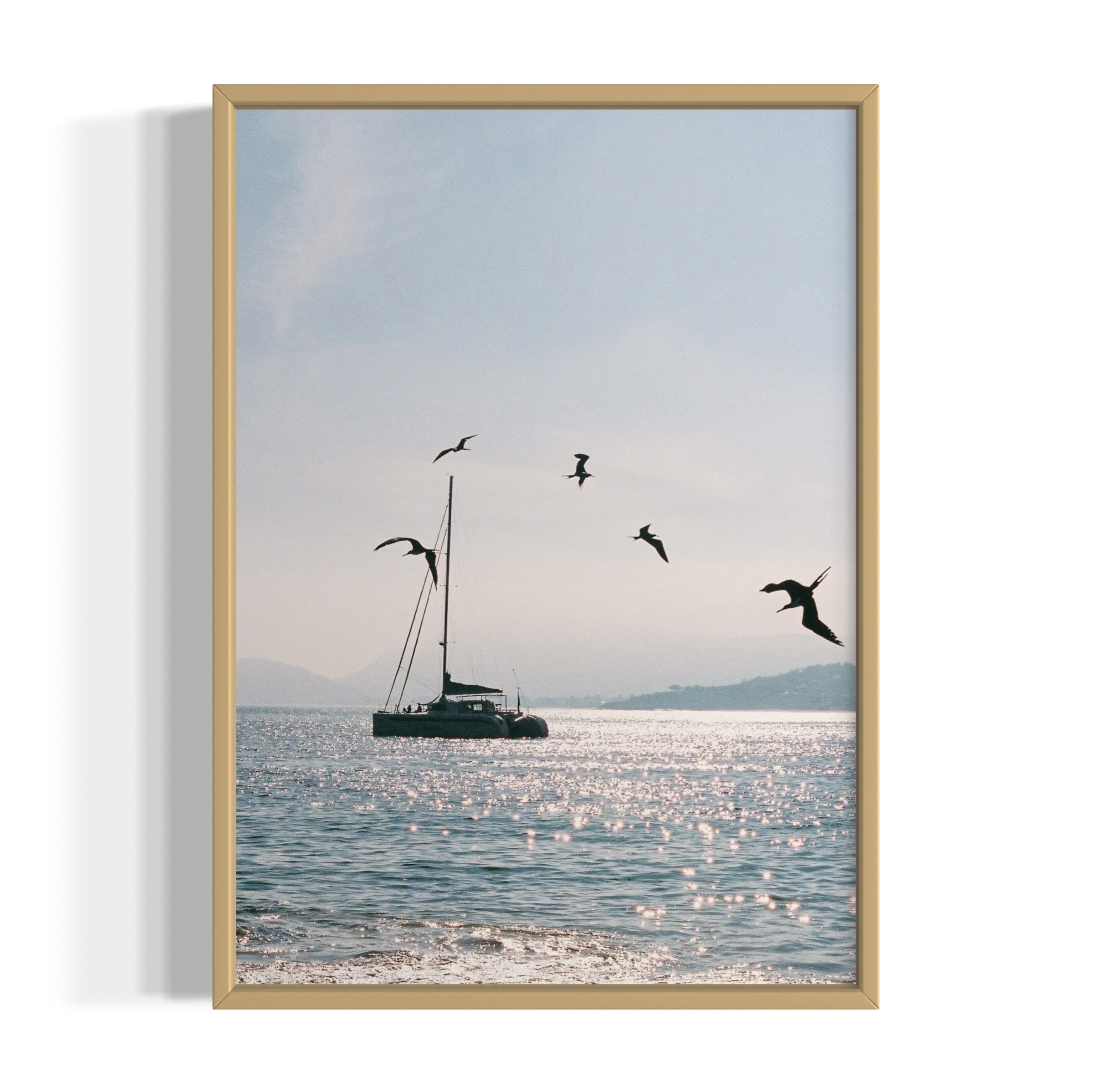 Morning Dive - Wall of Venus