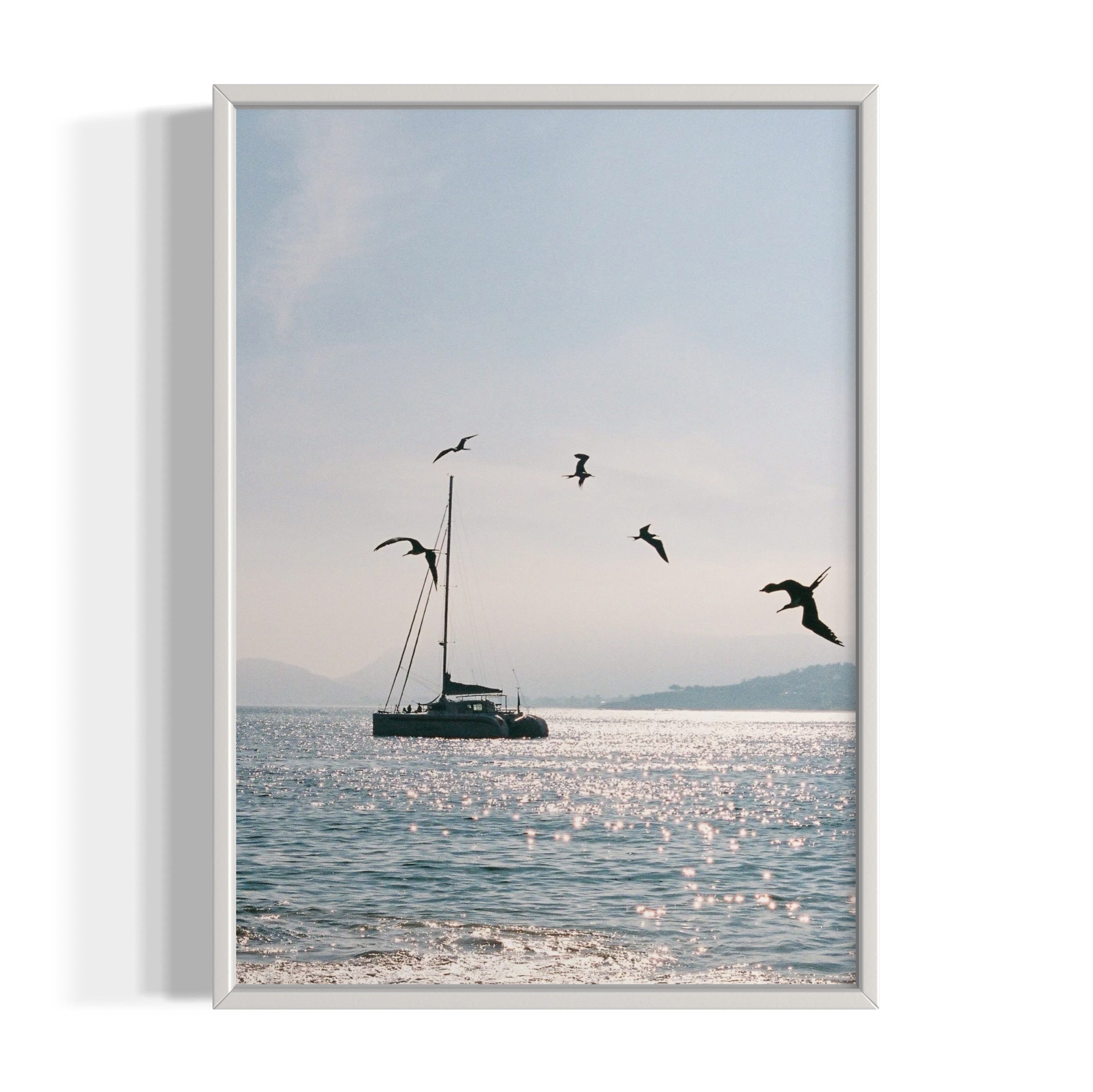 Morning Dive - Wall of Venus