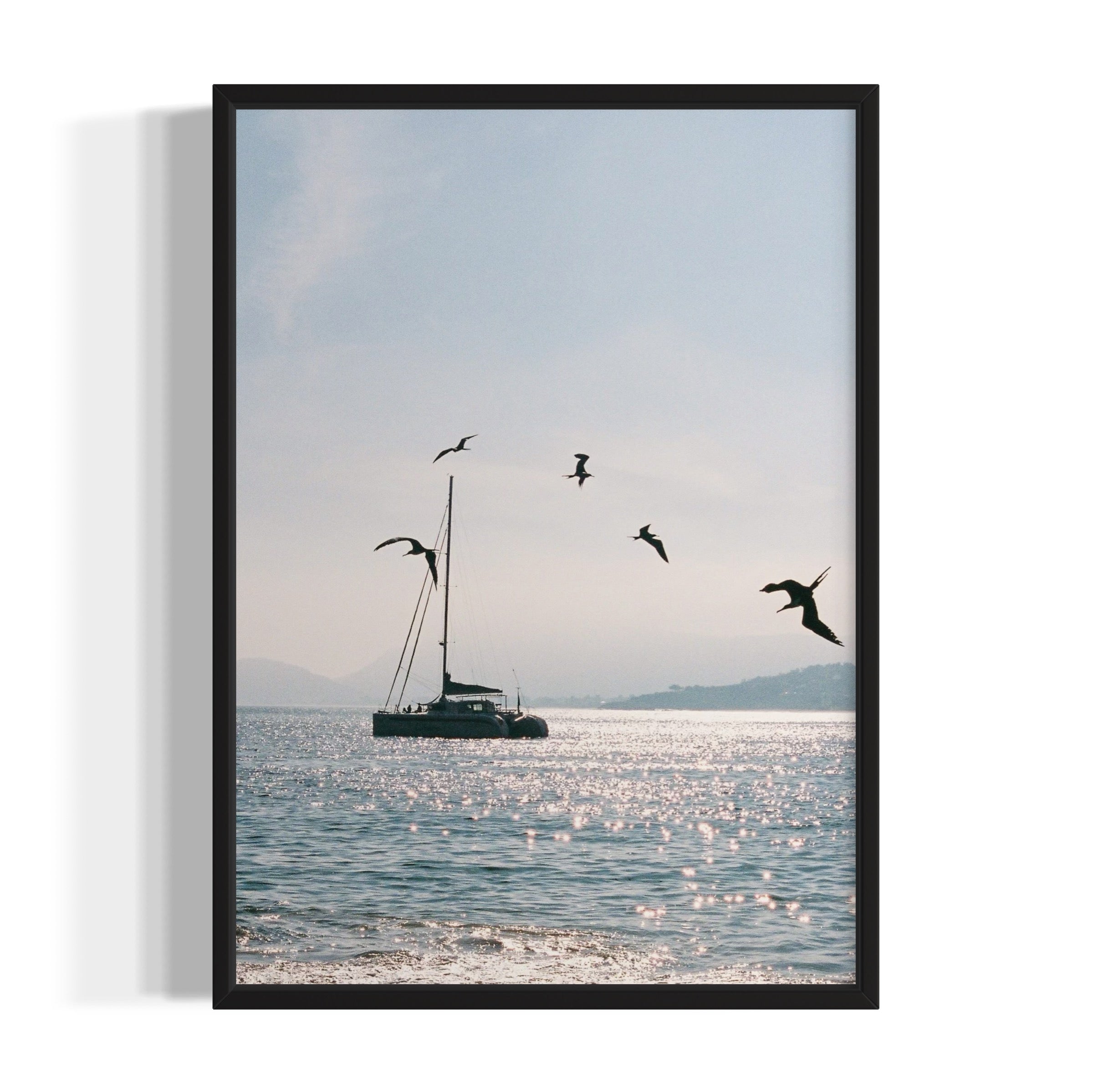 Morning Dive - Wall of Venus