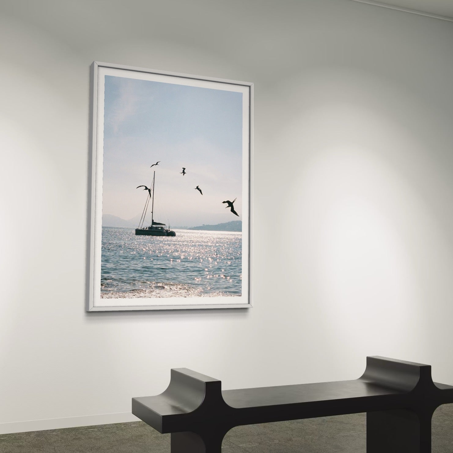 Morning Dive - Wall of Venus