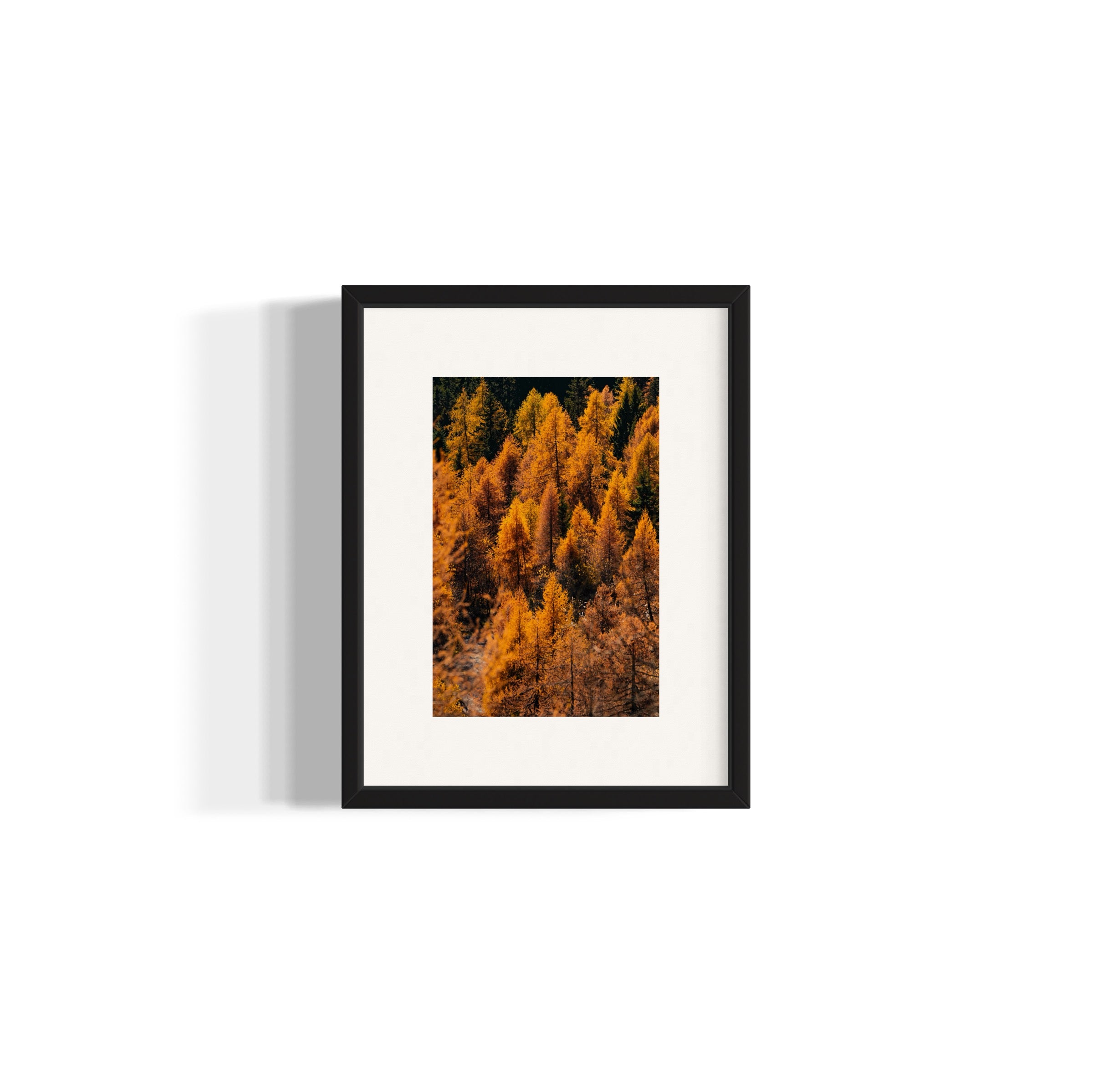 Foliage - Wall of Venus