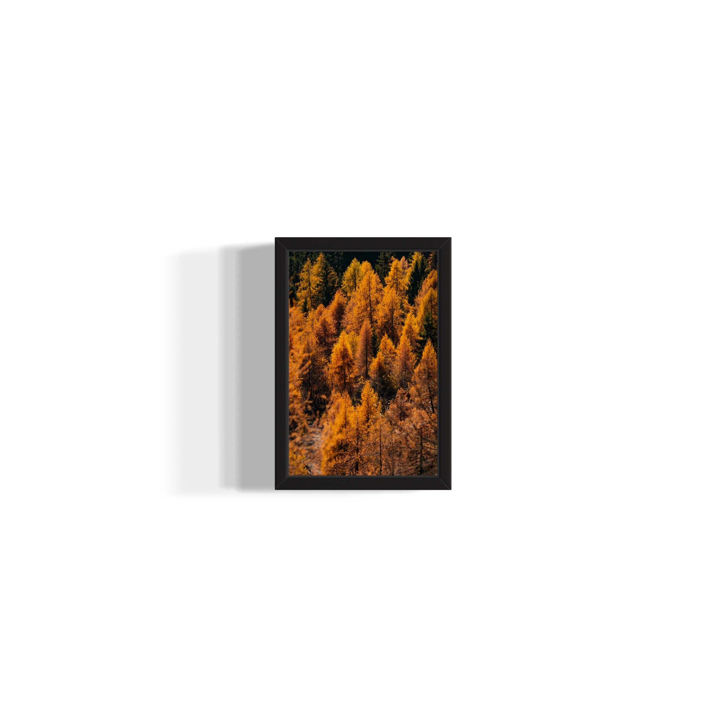 Foliage - Wall of Venus