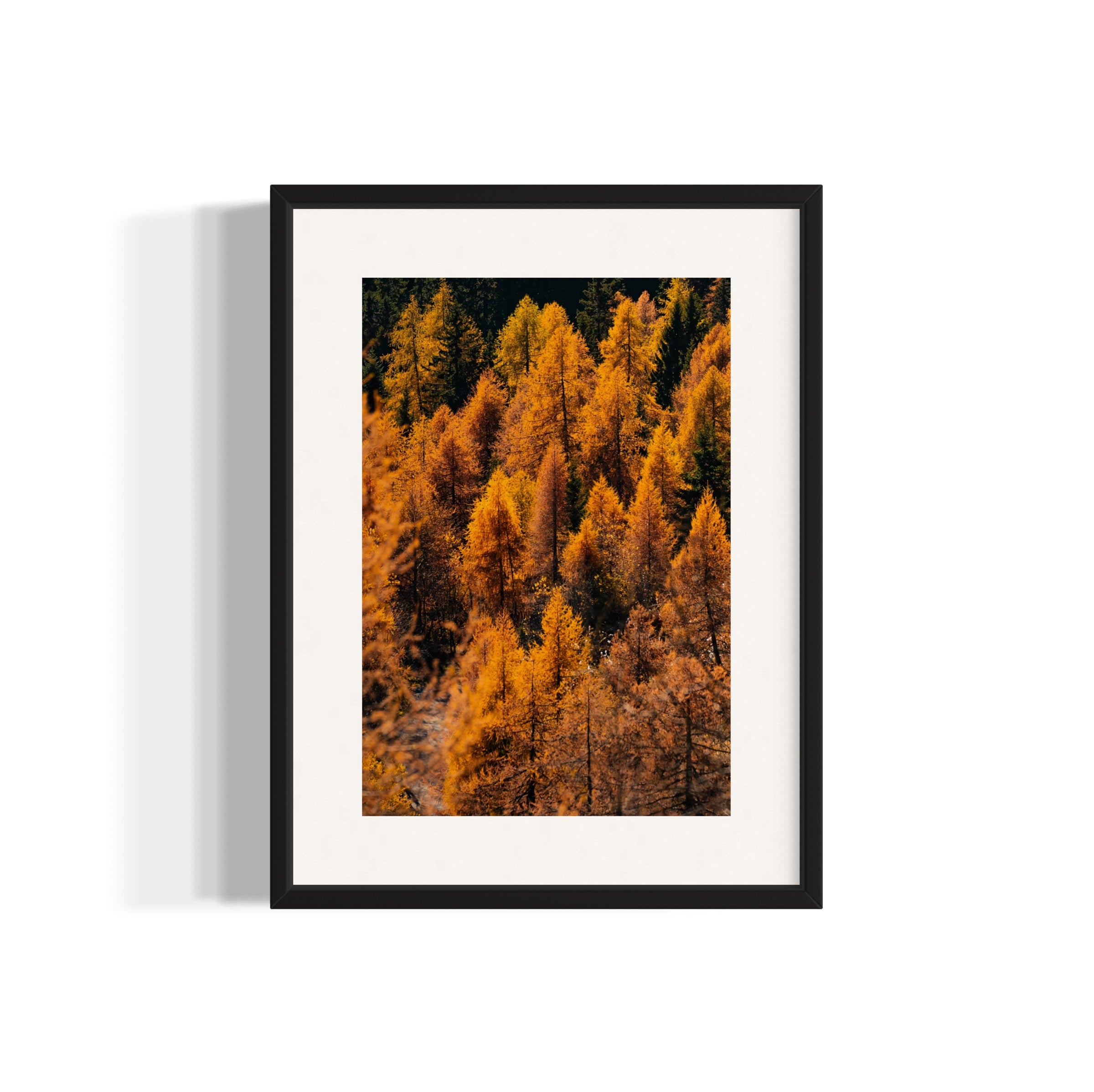 Foliage - Wall of Venus