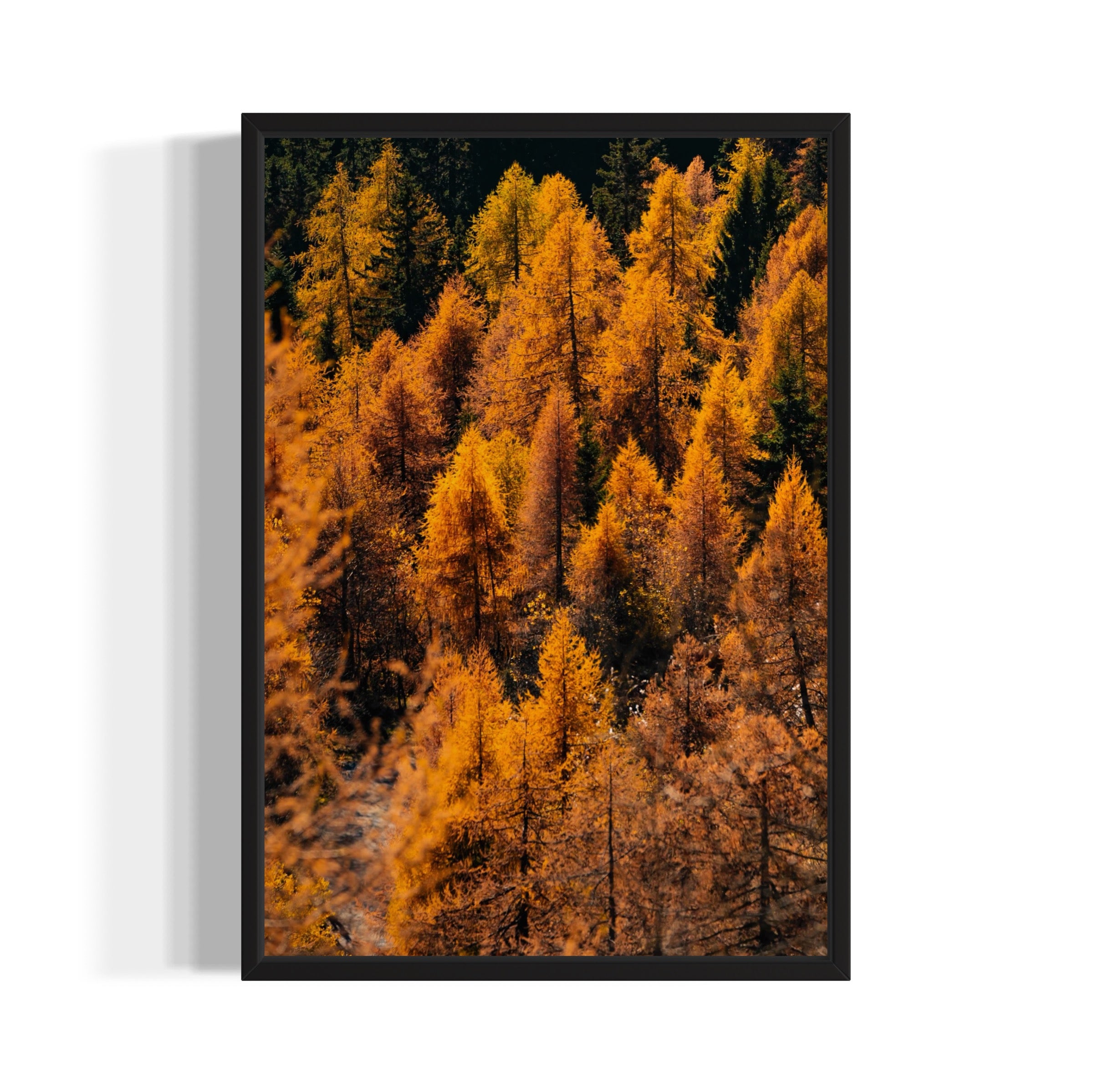 Foliage - Wall of Venus