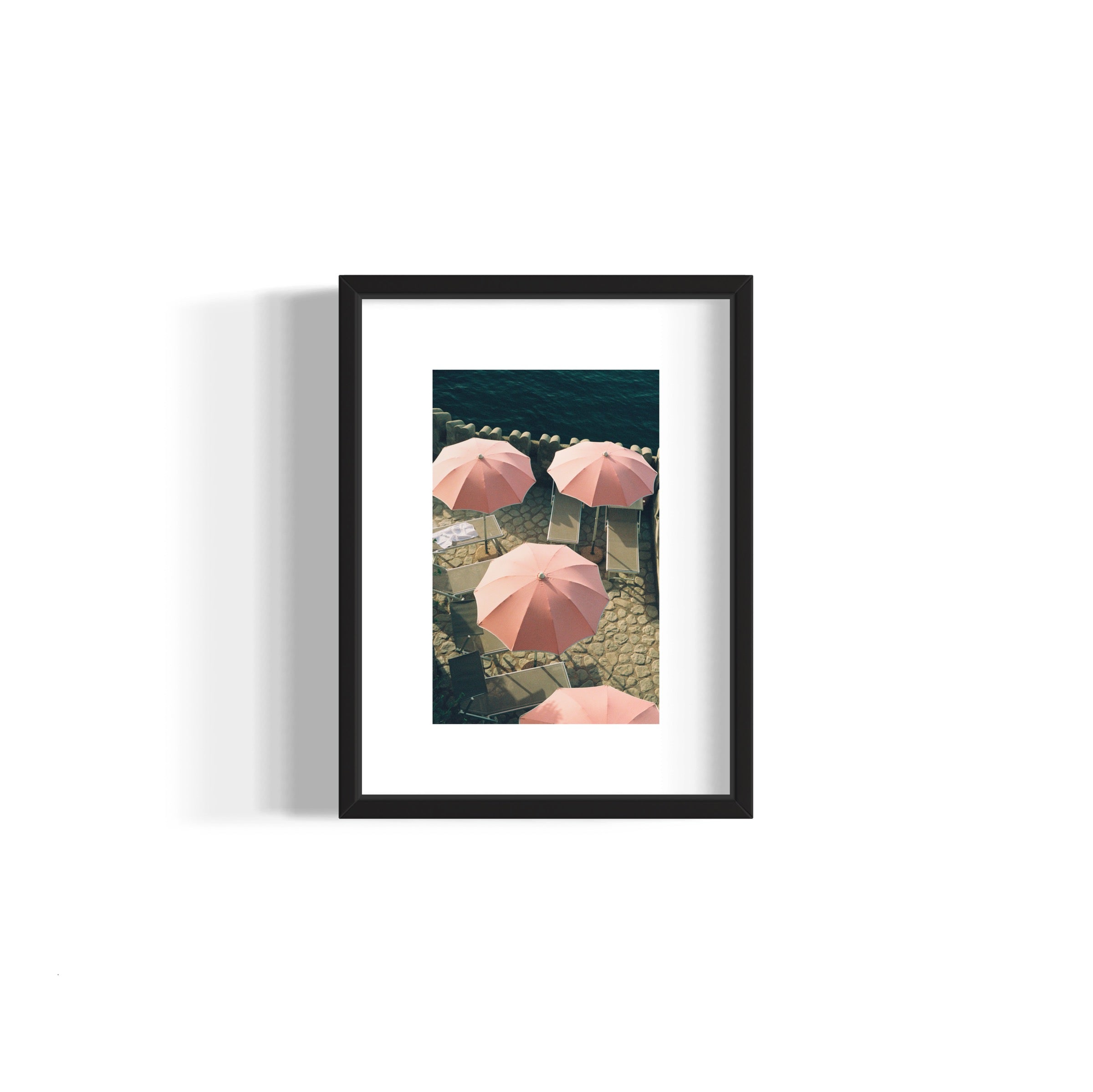Italian Flamingos - Wall of Venus