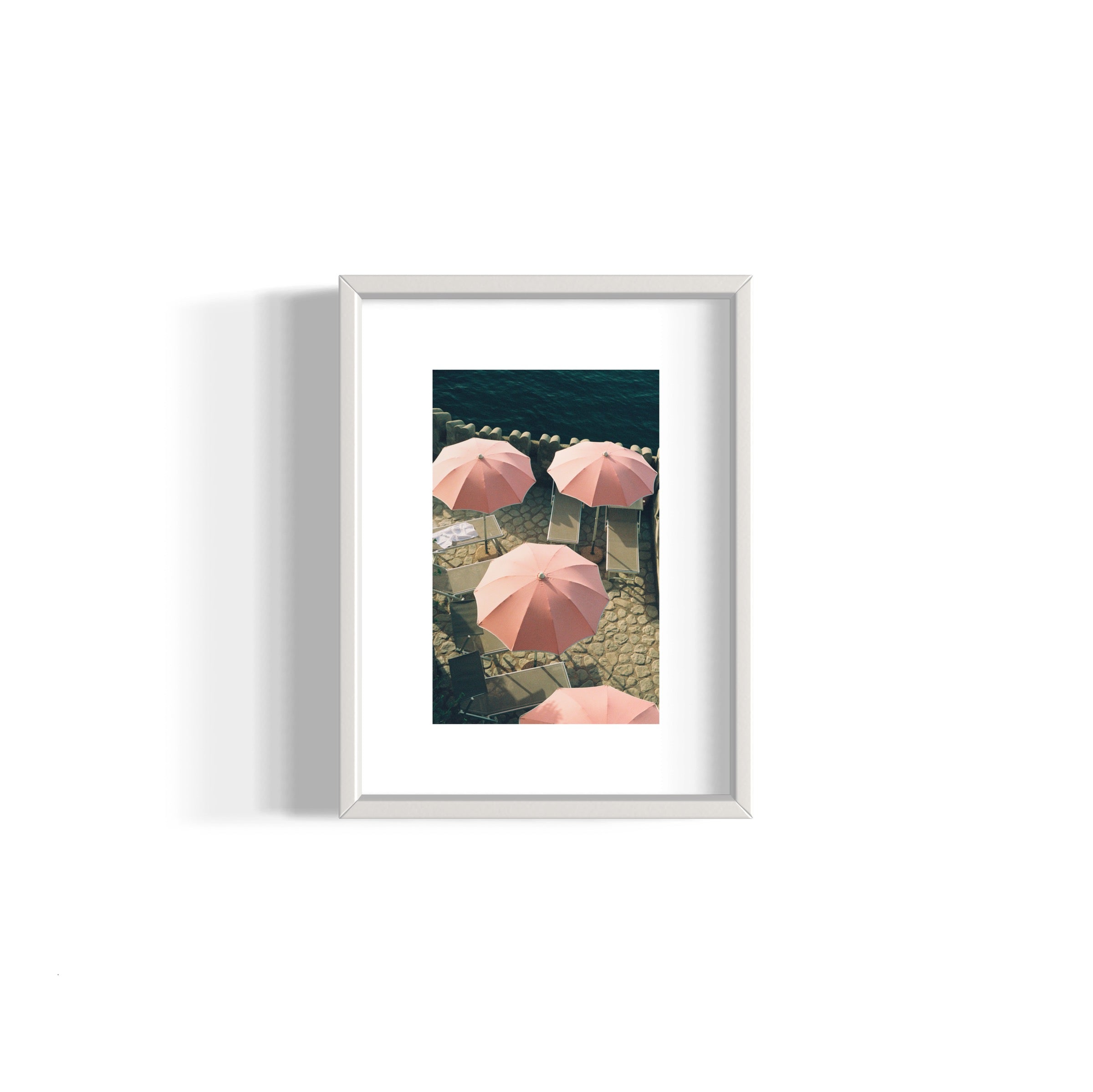 Italian Flamingos - Wall of Venus