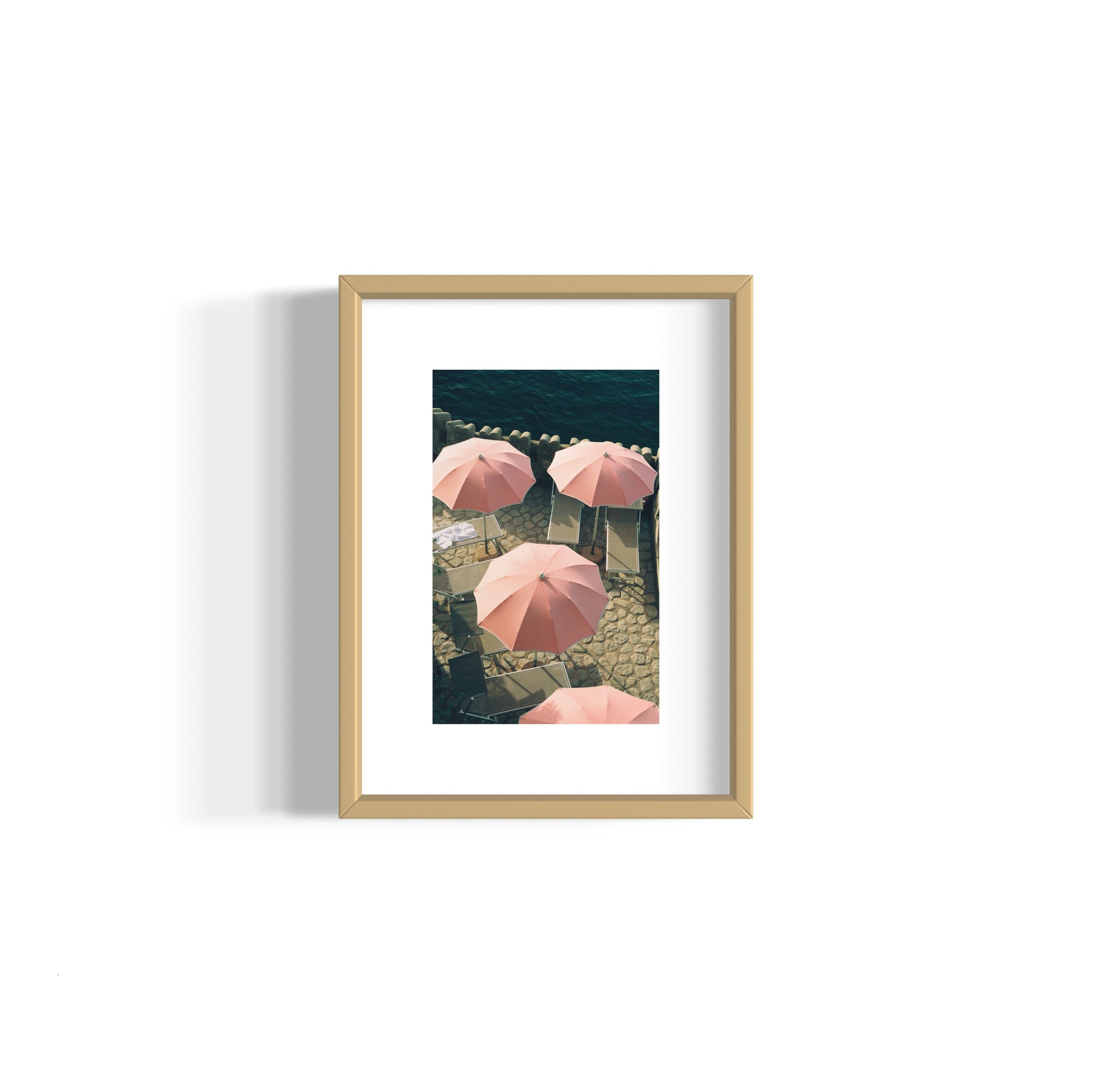 Italian Flamingos - Wall of Venus