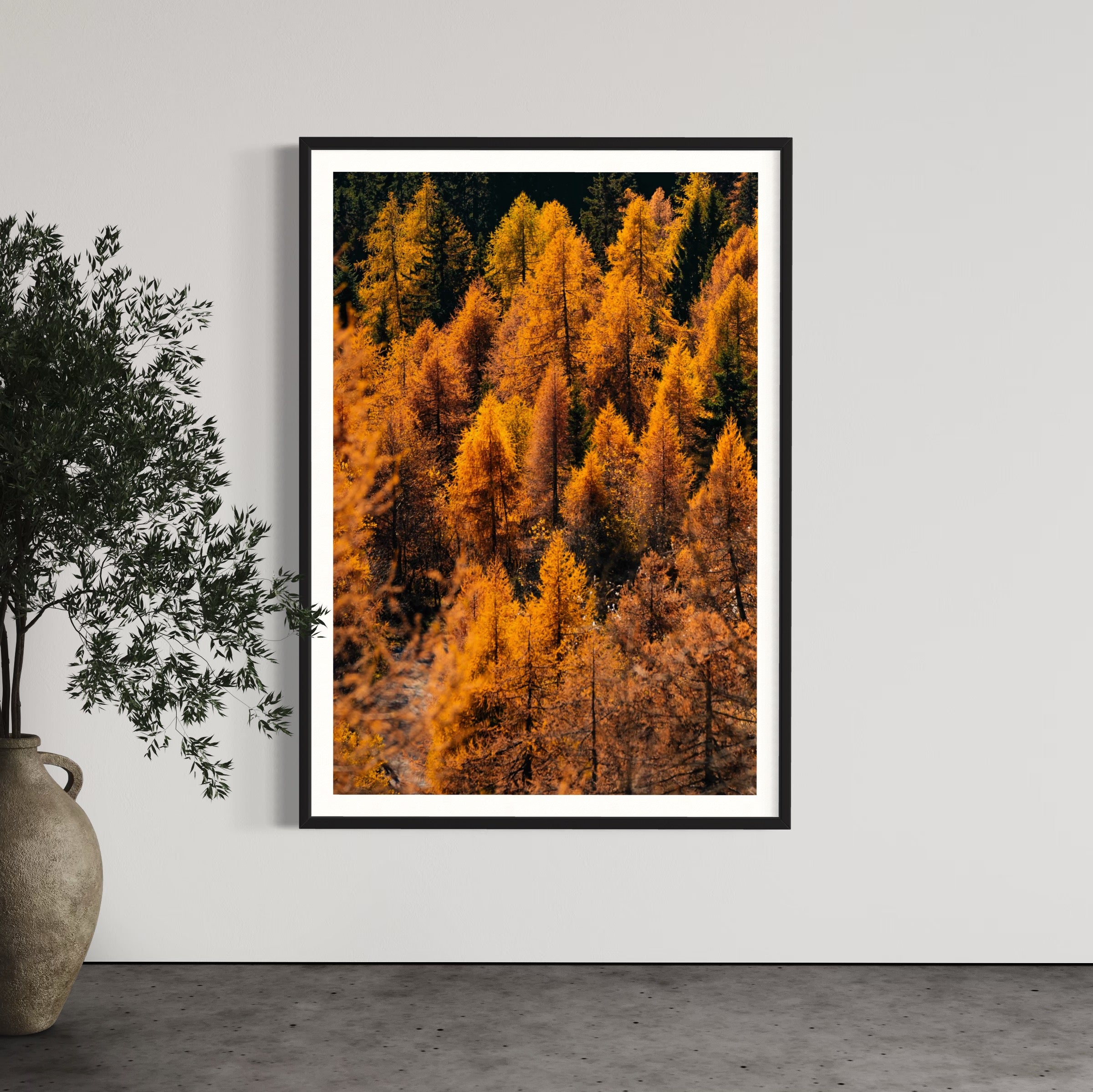 Foliage - Wall of Venus