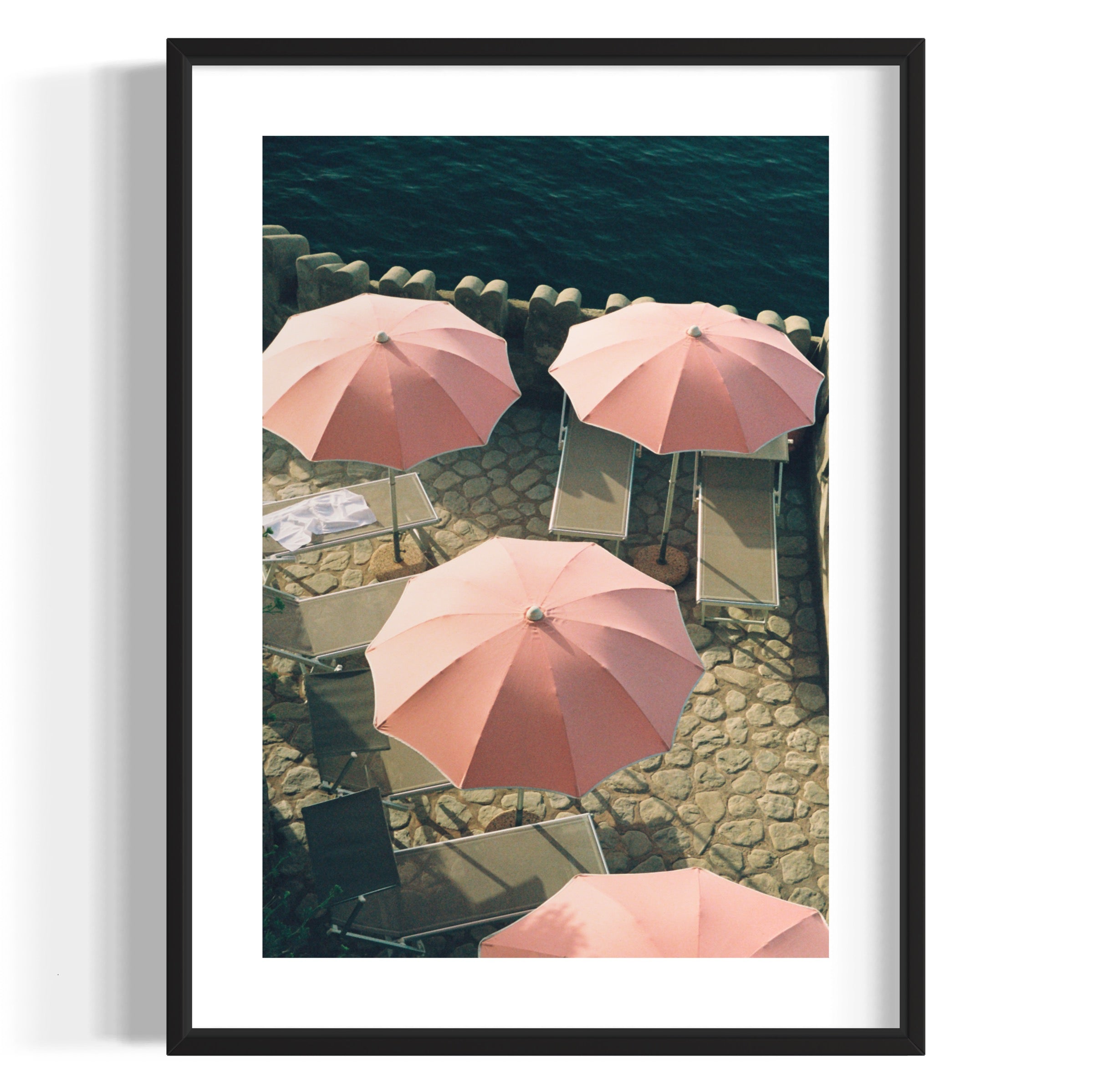 Italian Flamingos - Wall of Venus