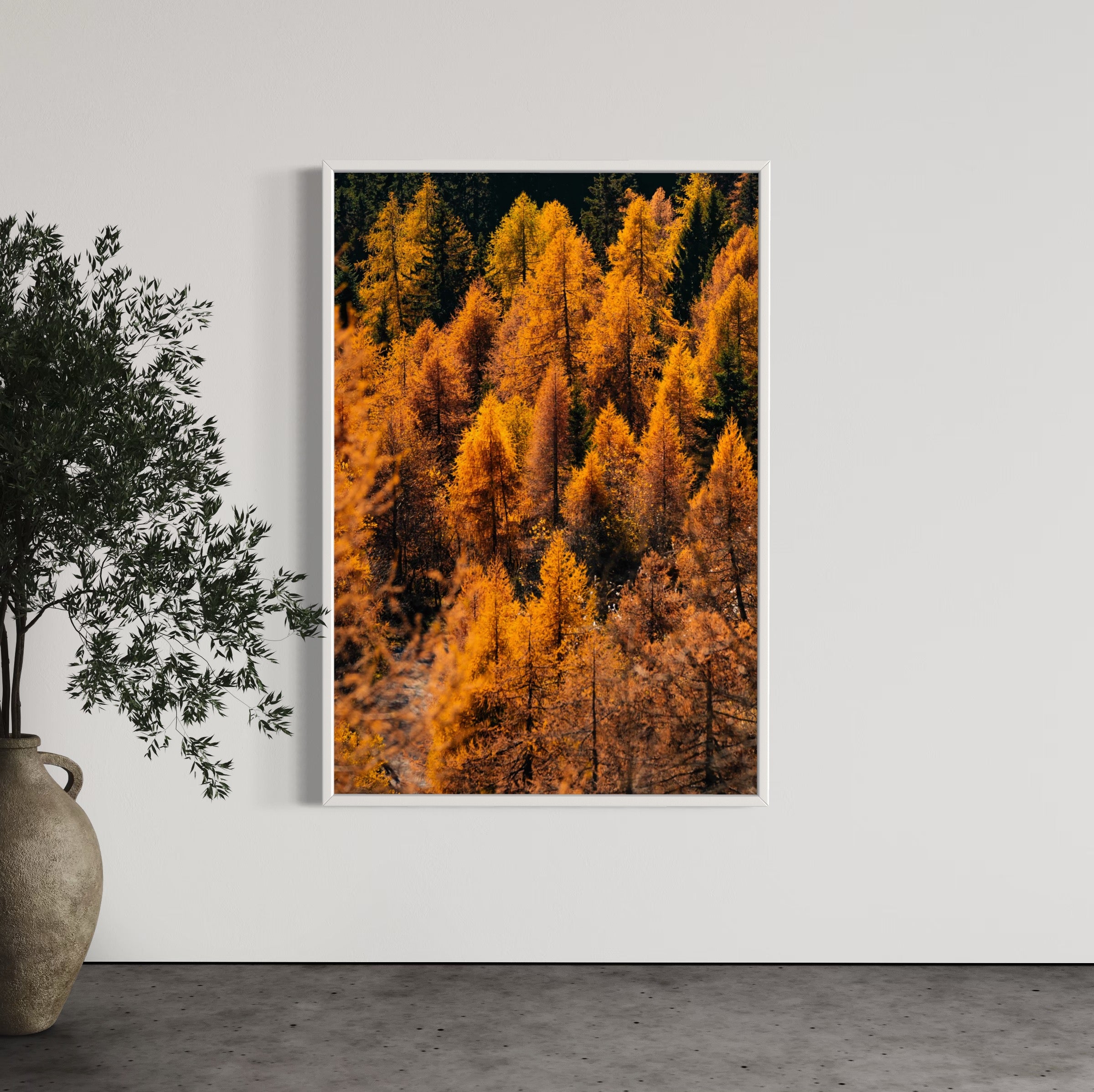 Foliage - Wall of Venus