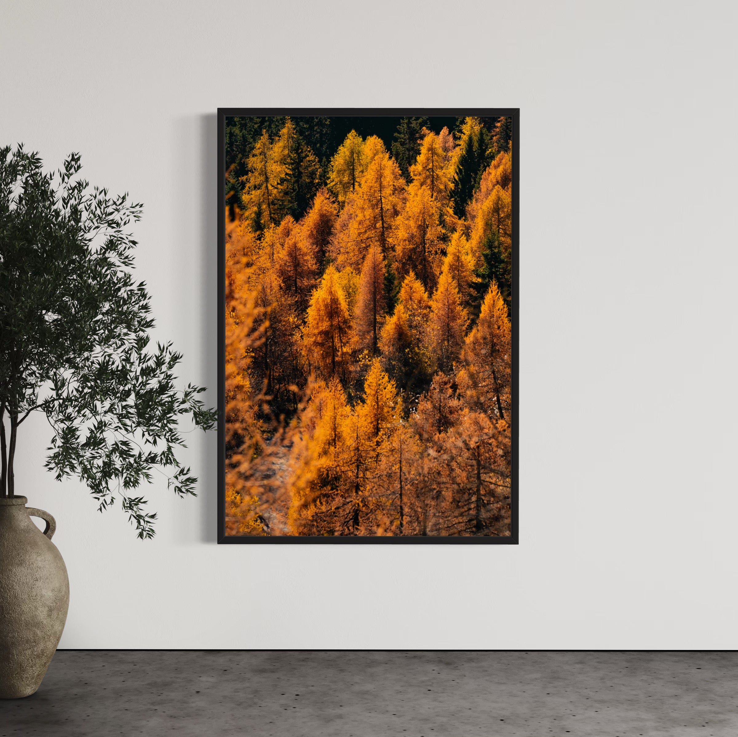 Foliage - Wall of Venus