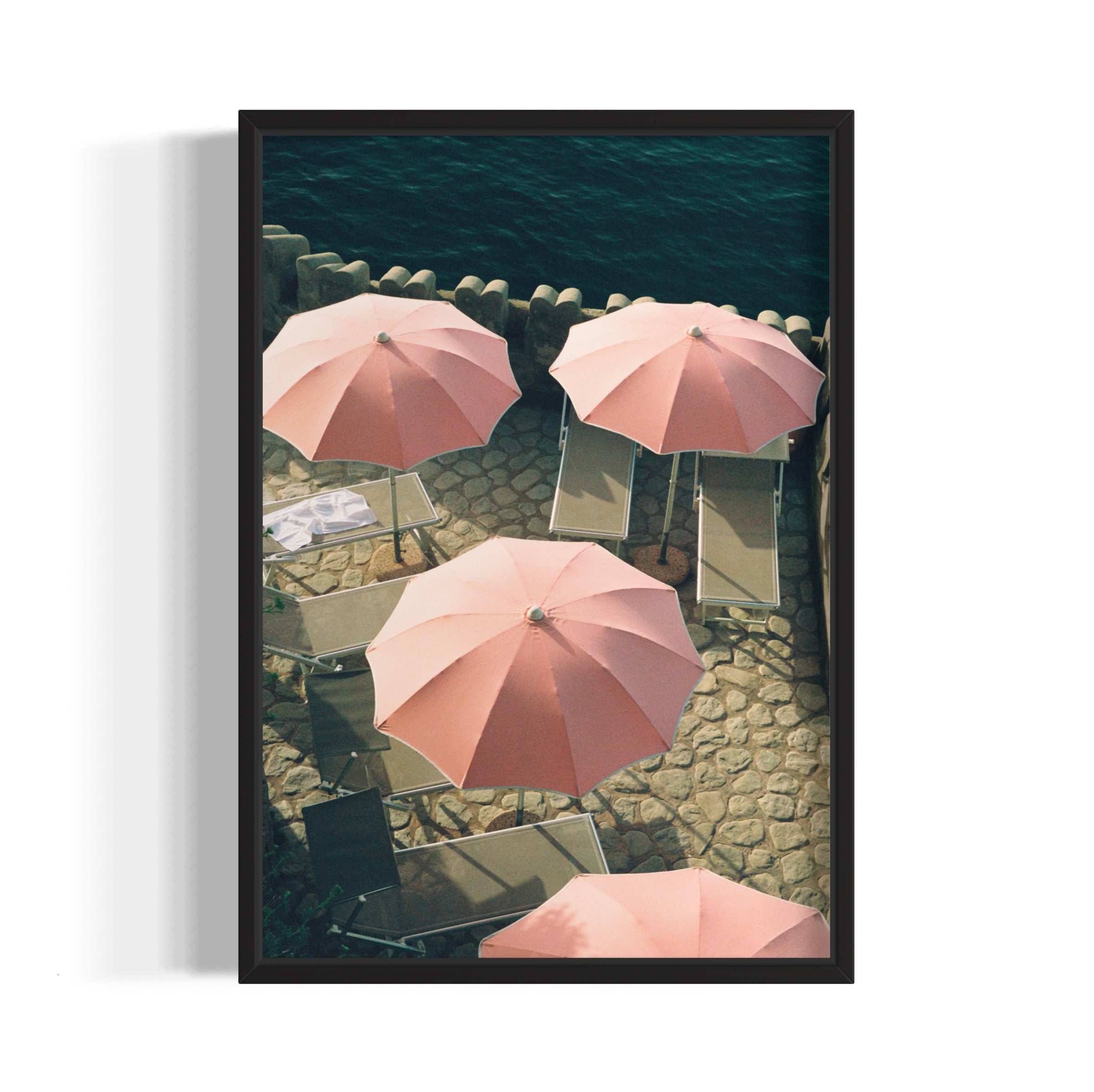 Italian Flamingos - Wall of Venus