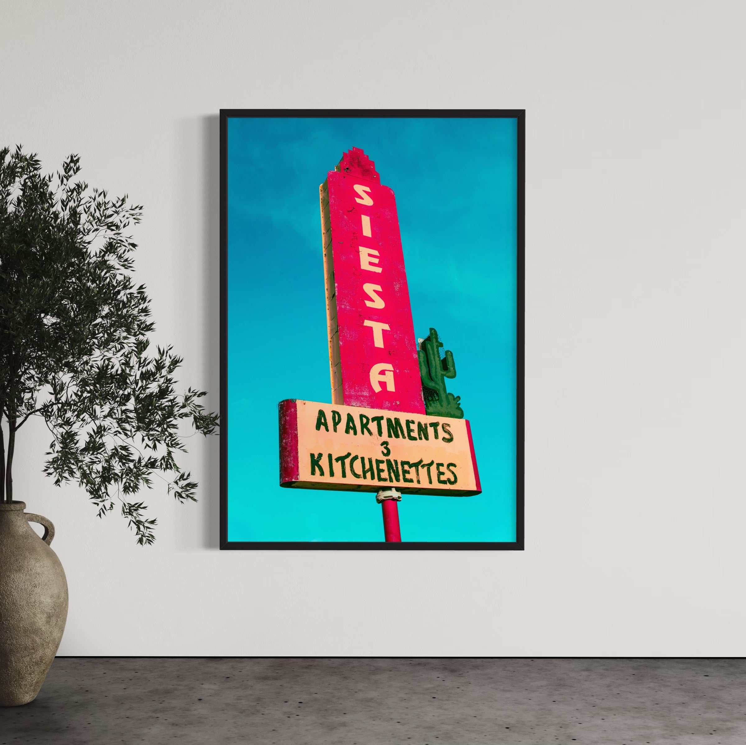 Siesta - Wall of Venus