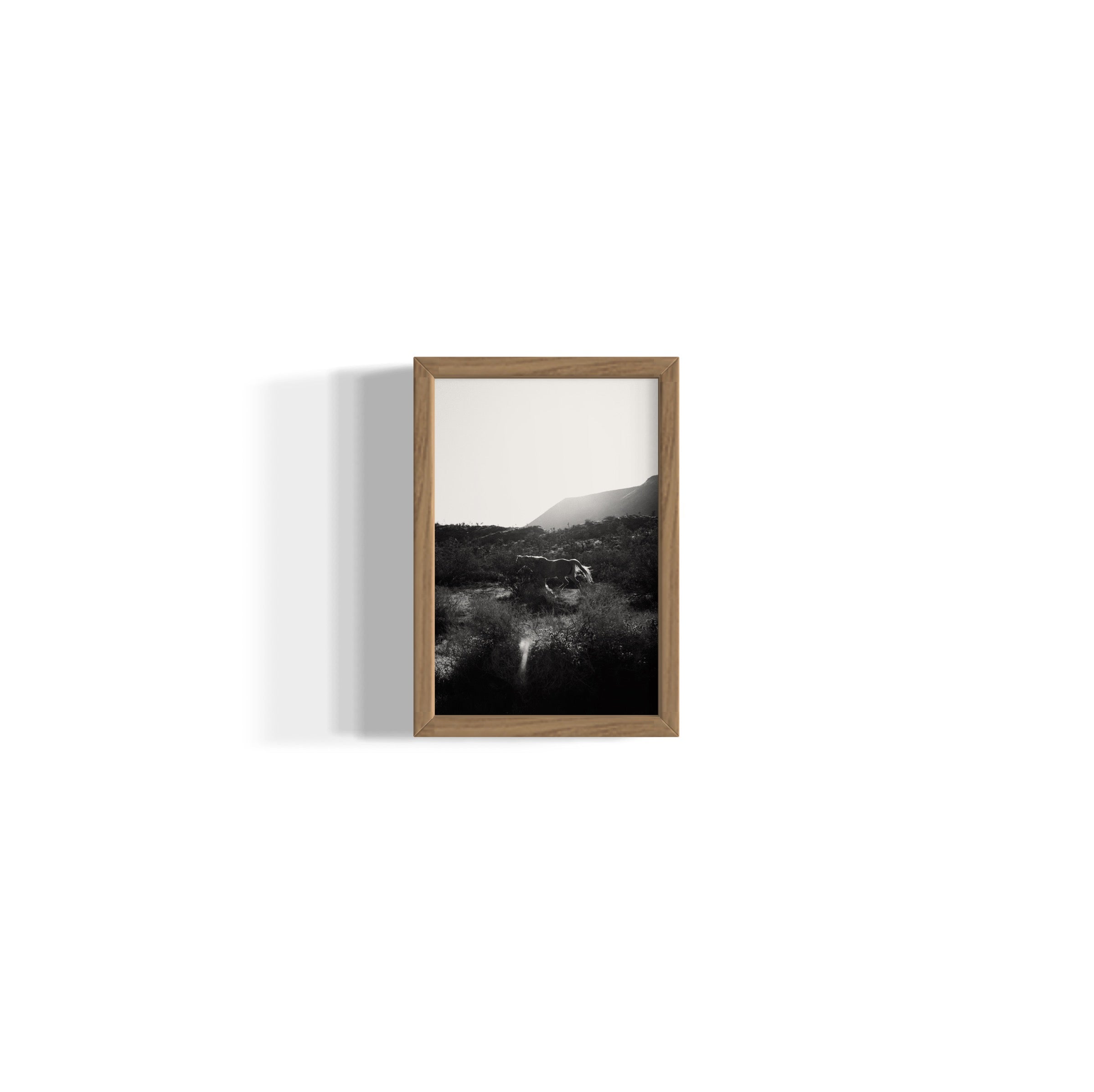 Lonesome Ridge - Wall of Venus