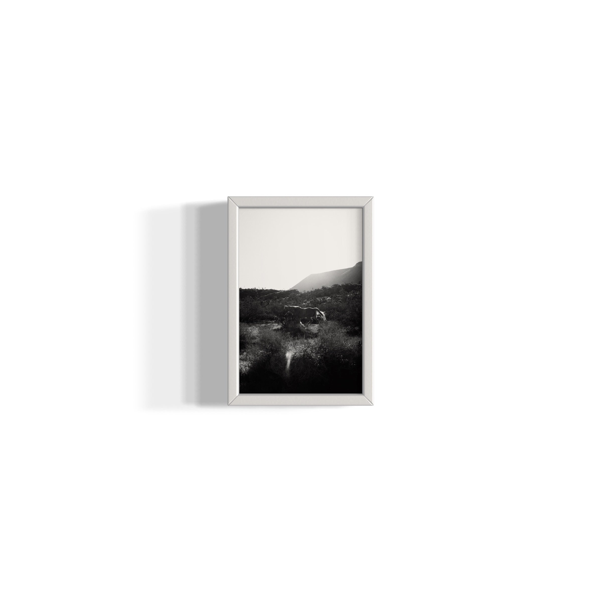 Lonesome Ridge - Wall of Venus