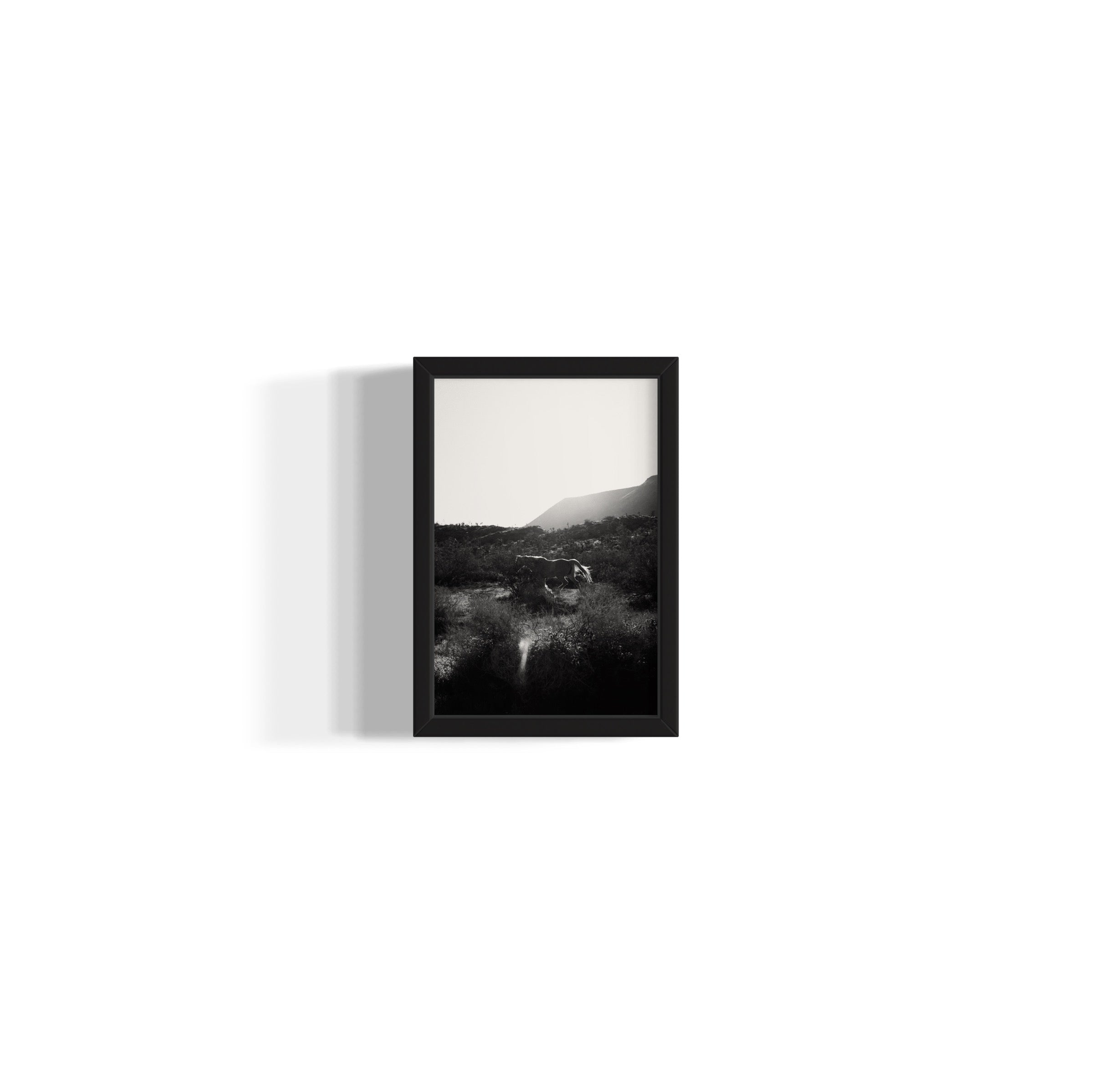 Lonesome Ridge - Wall of Venus