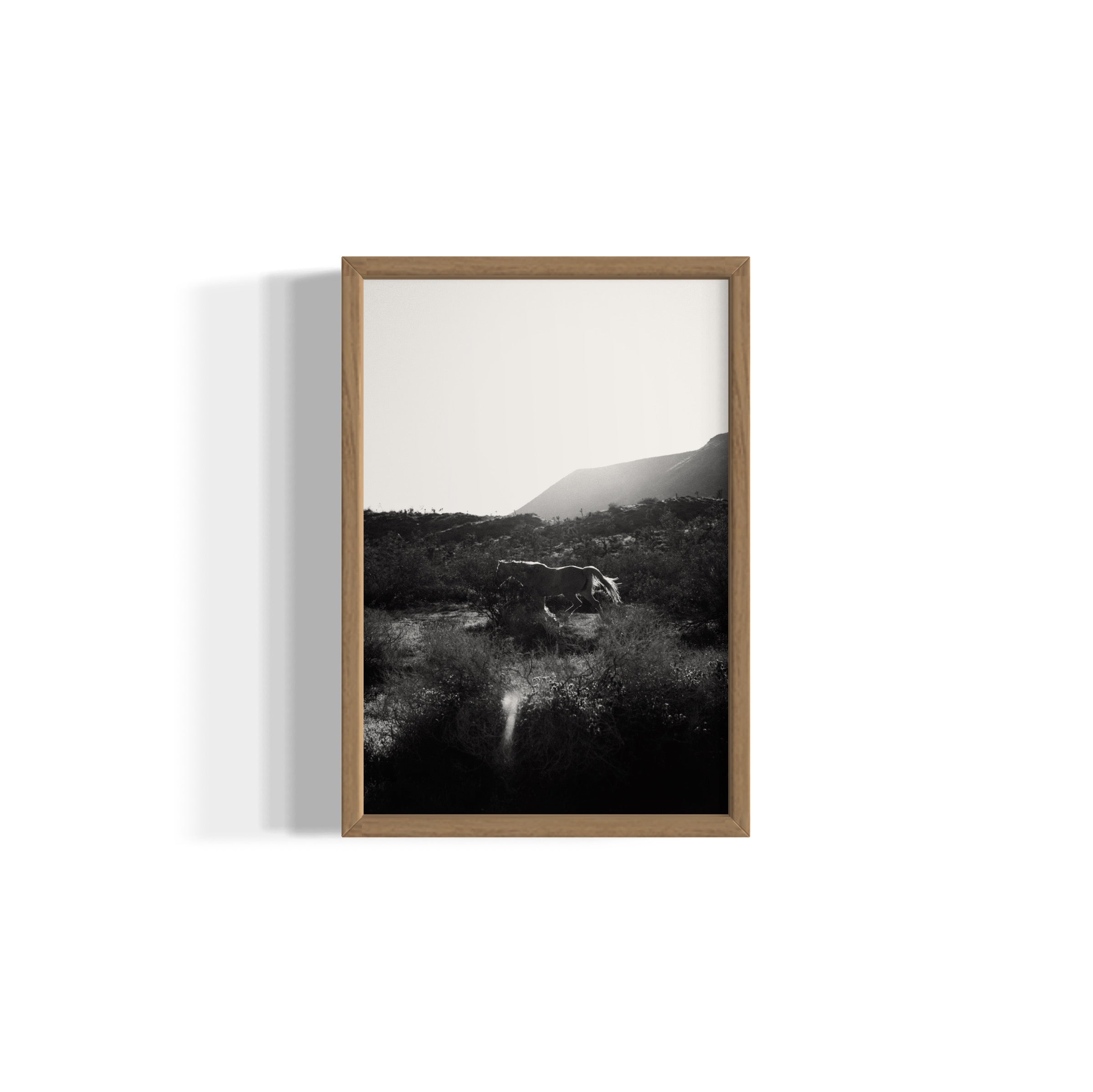 Lonesome Ridge - Wall of Venus