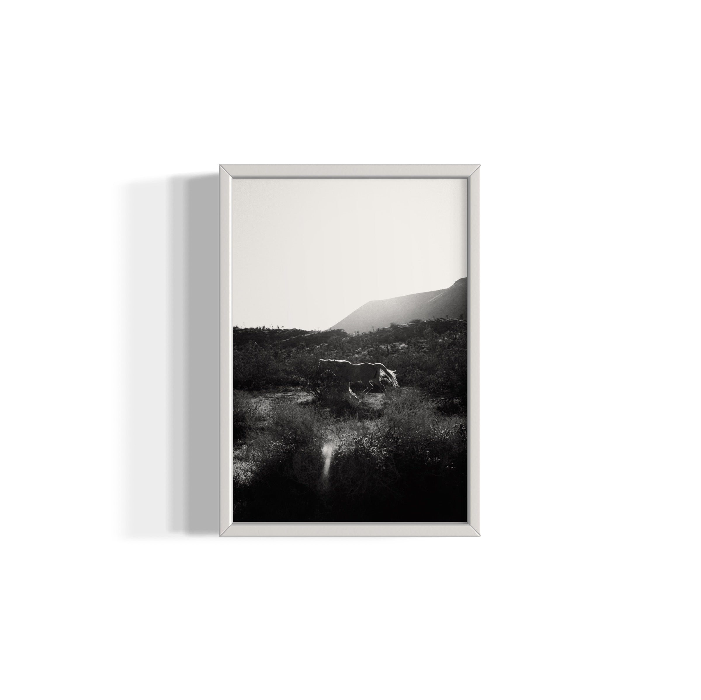 Lonesome Ridge - Wall of Venus