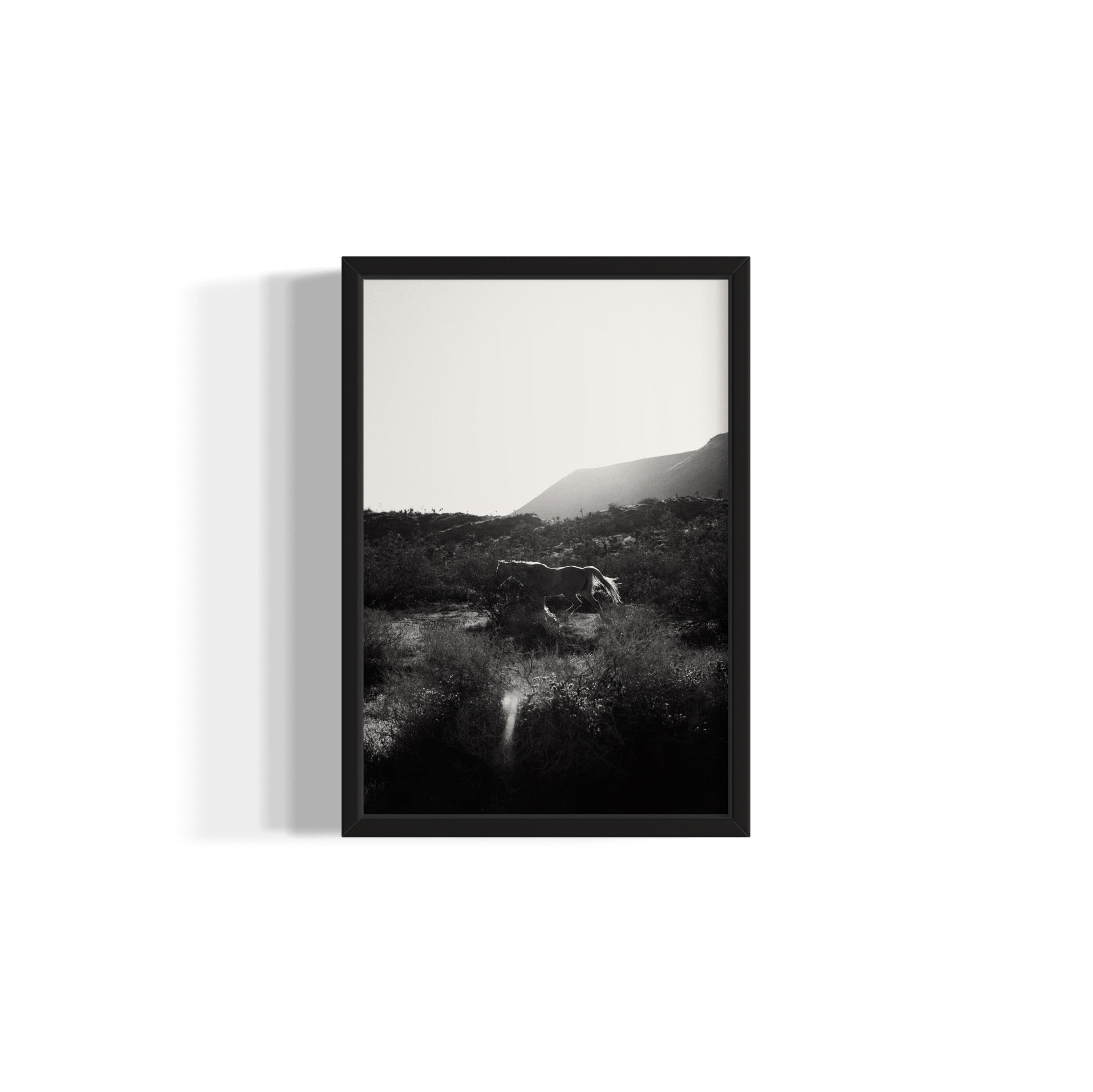 Lonesome Ridge - Wall of Venus