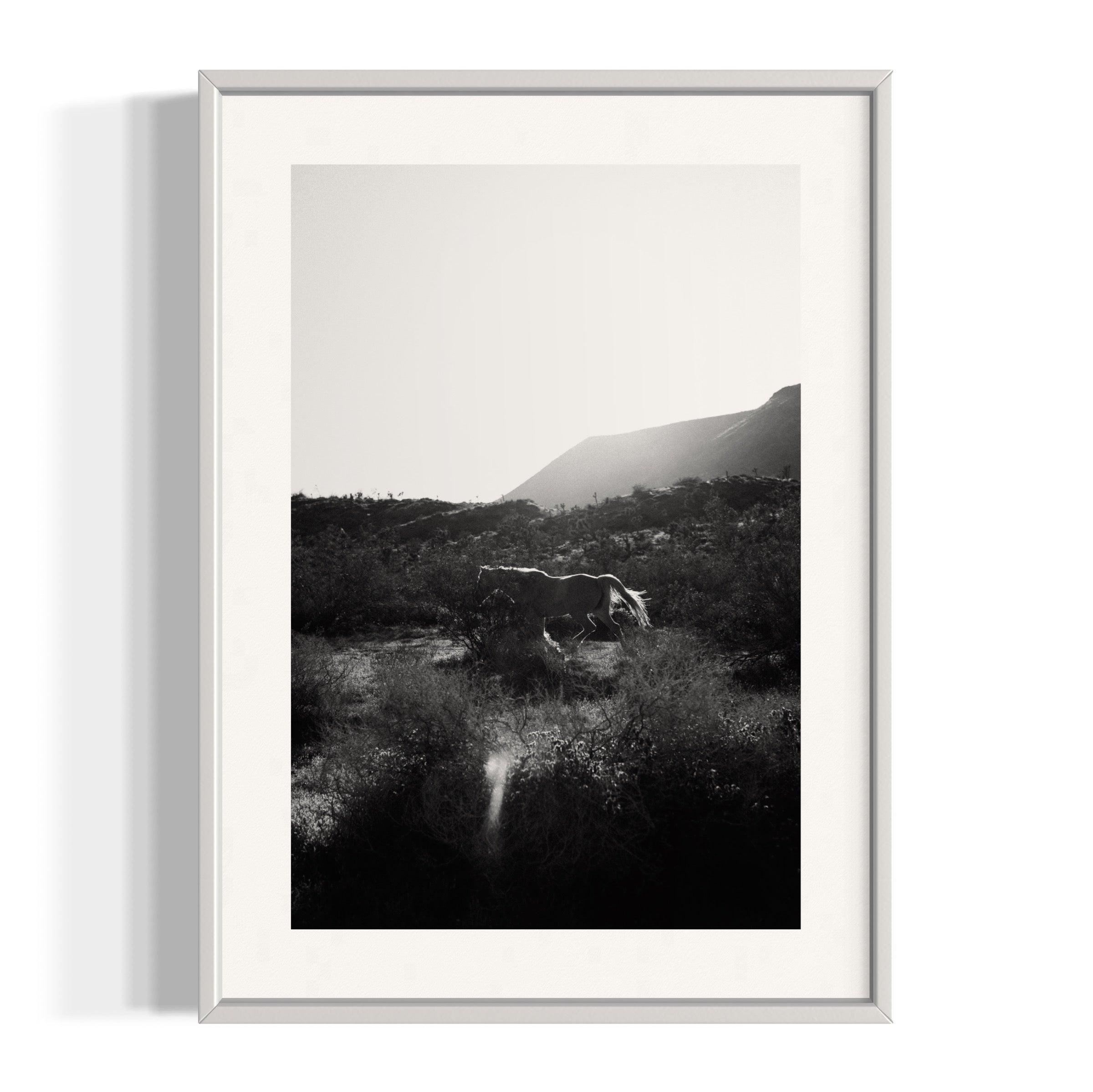 Lonesome Ridge - Wall of Venus