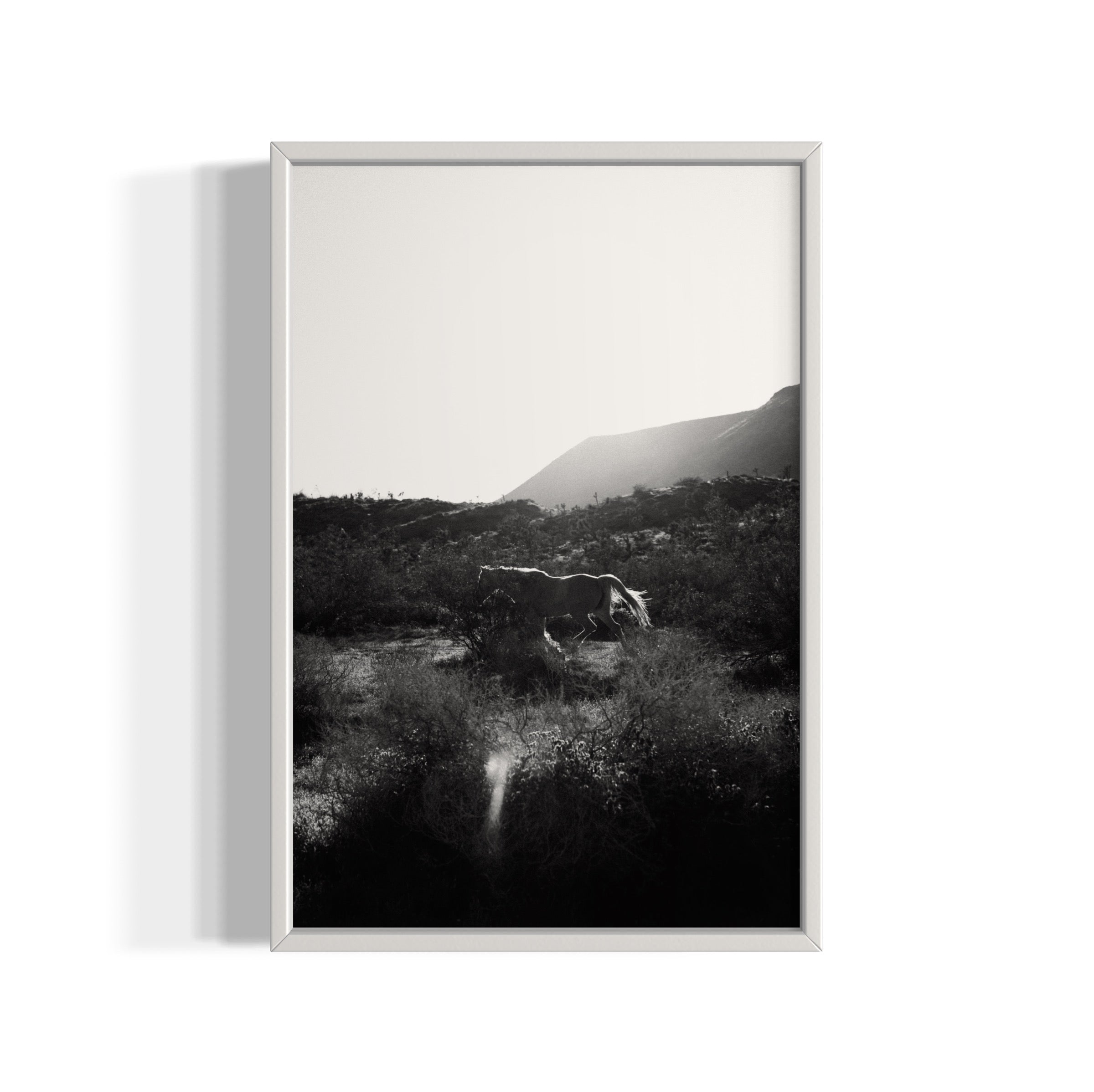 Lonesome Ridge - Wall of Venus