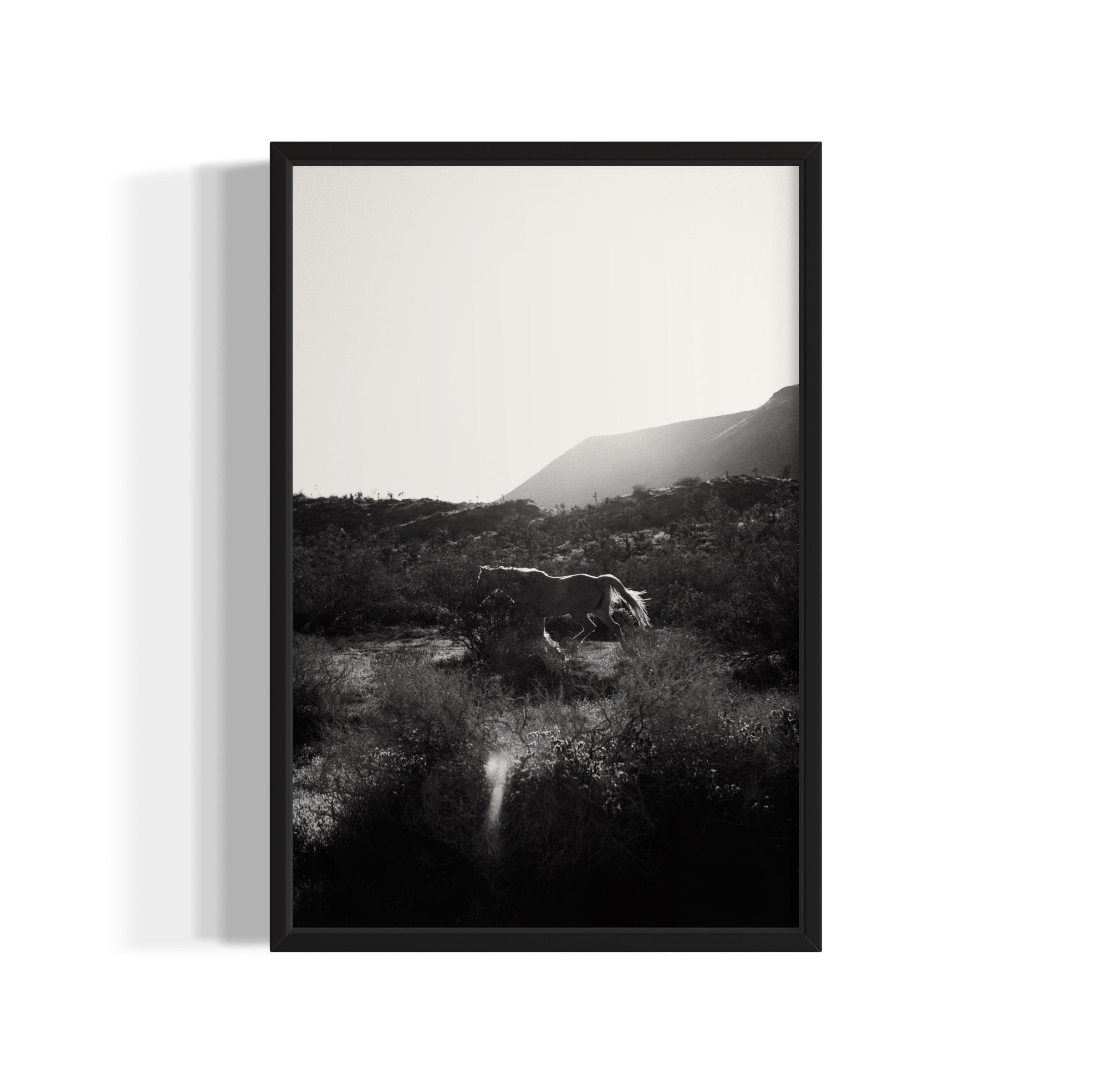 Lonesome Ridge - Wall of Venus