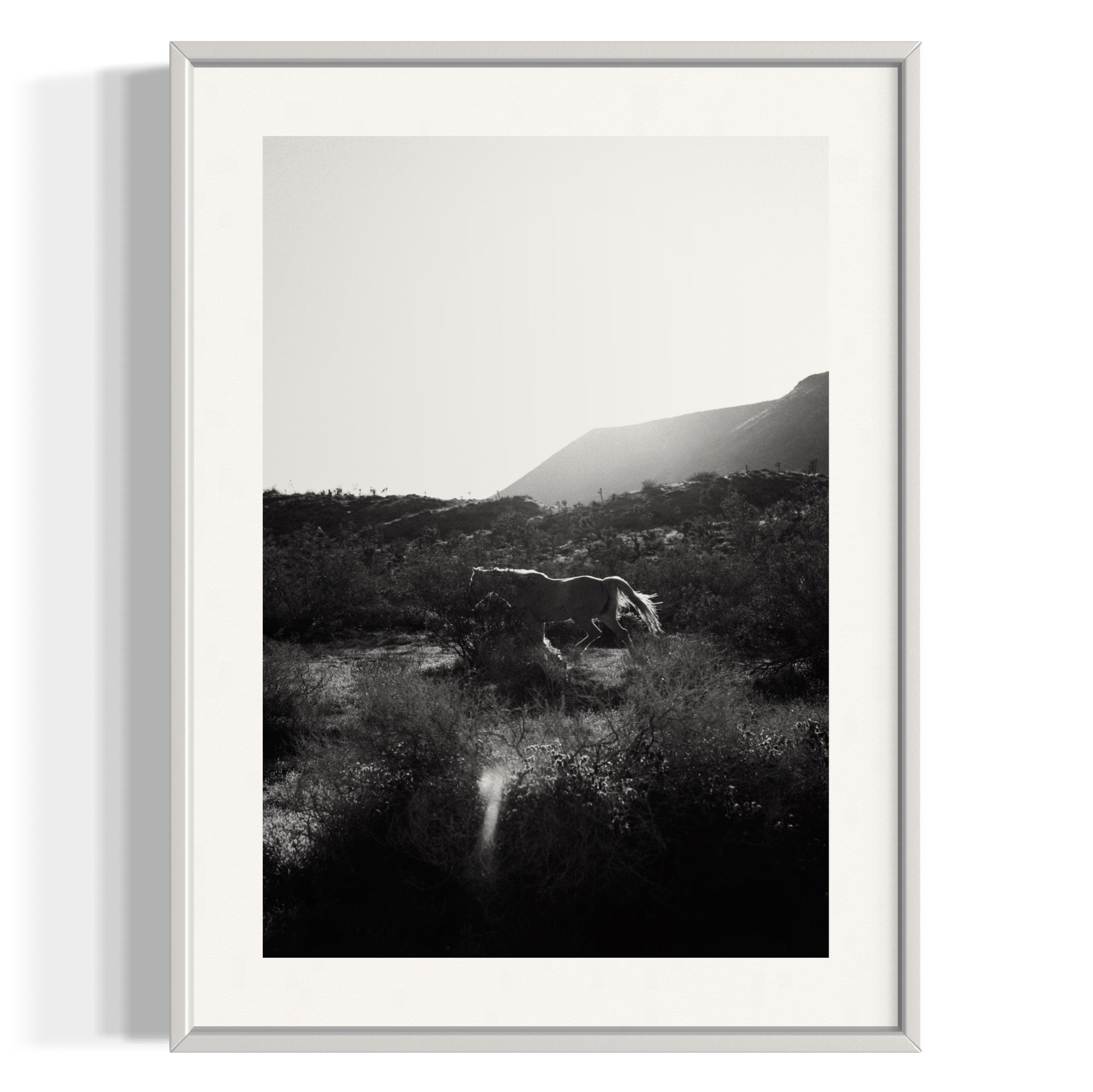 Lonesome Ridge - Wall of Venus