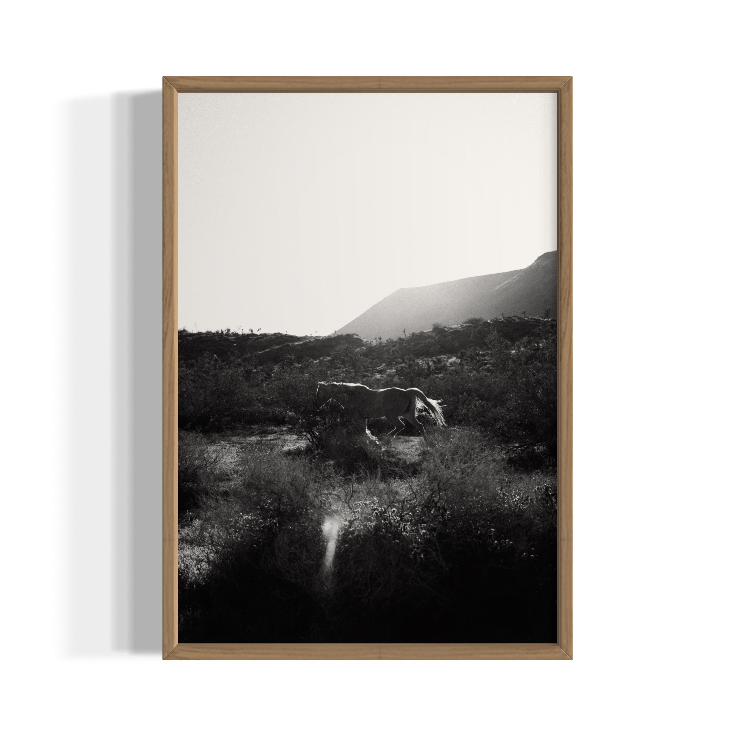 Lonesome Ridge - Wall of Venus