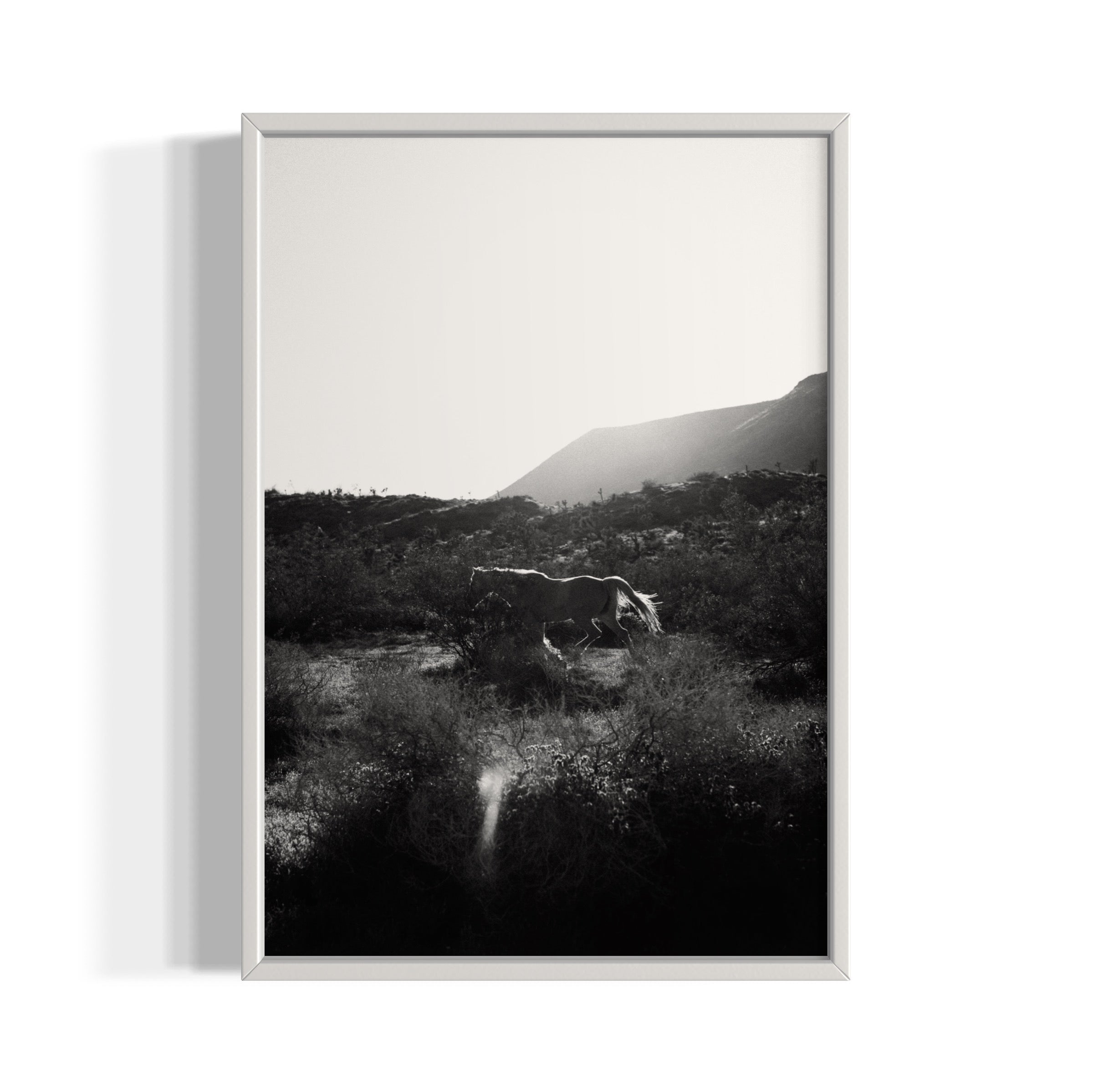 Lonesome Ridge - Wall of Venus