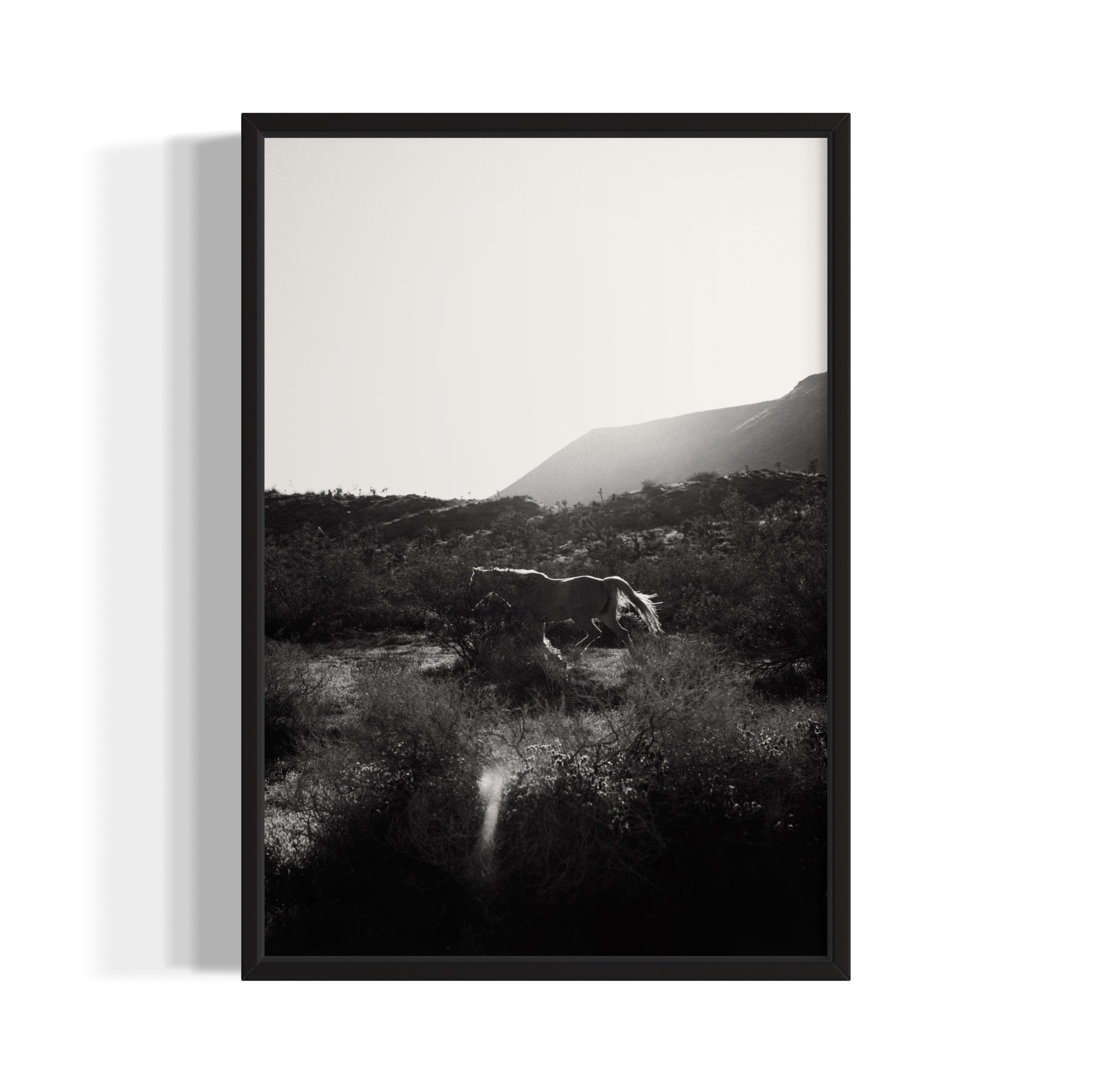 Lonesome Ridge - Wall of Venus
