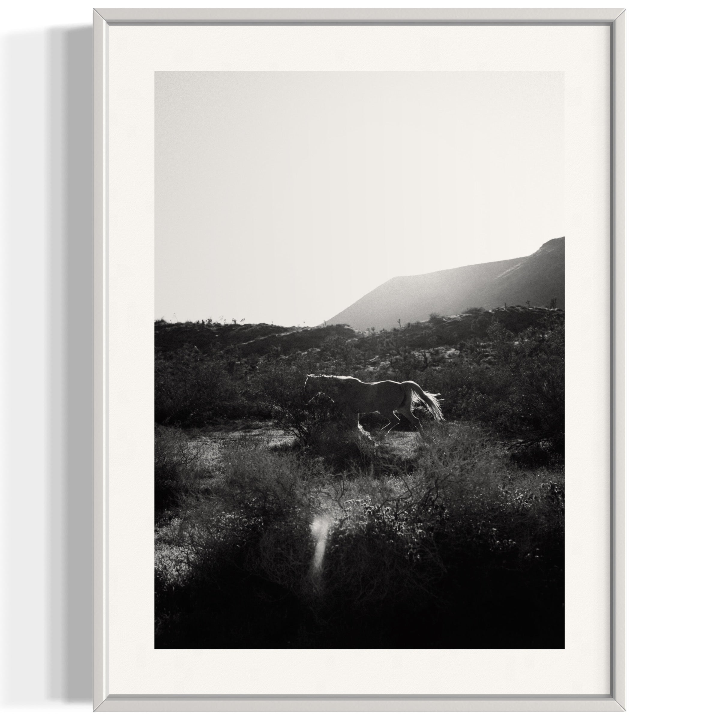 Lonesome Ridge - Wall of Venus