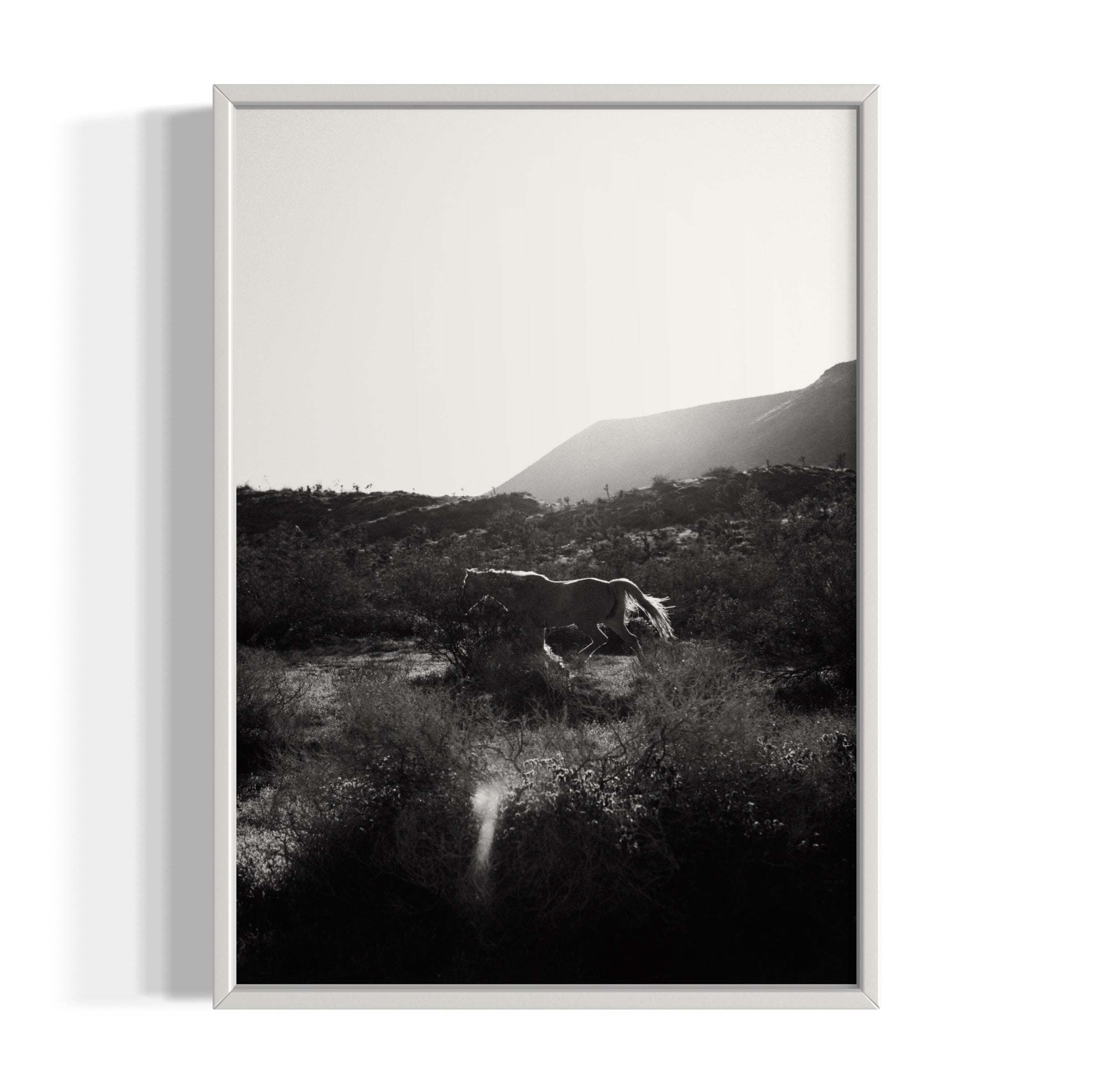 Lonesome Ridge - Wall of Venus