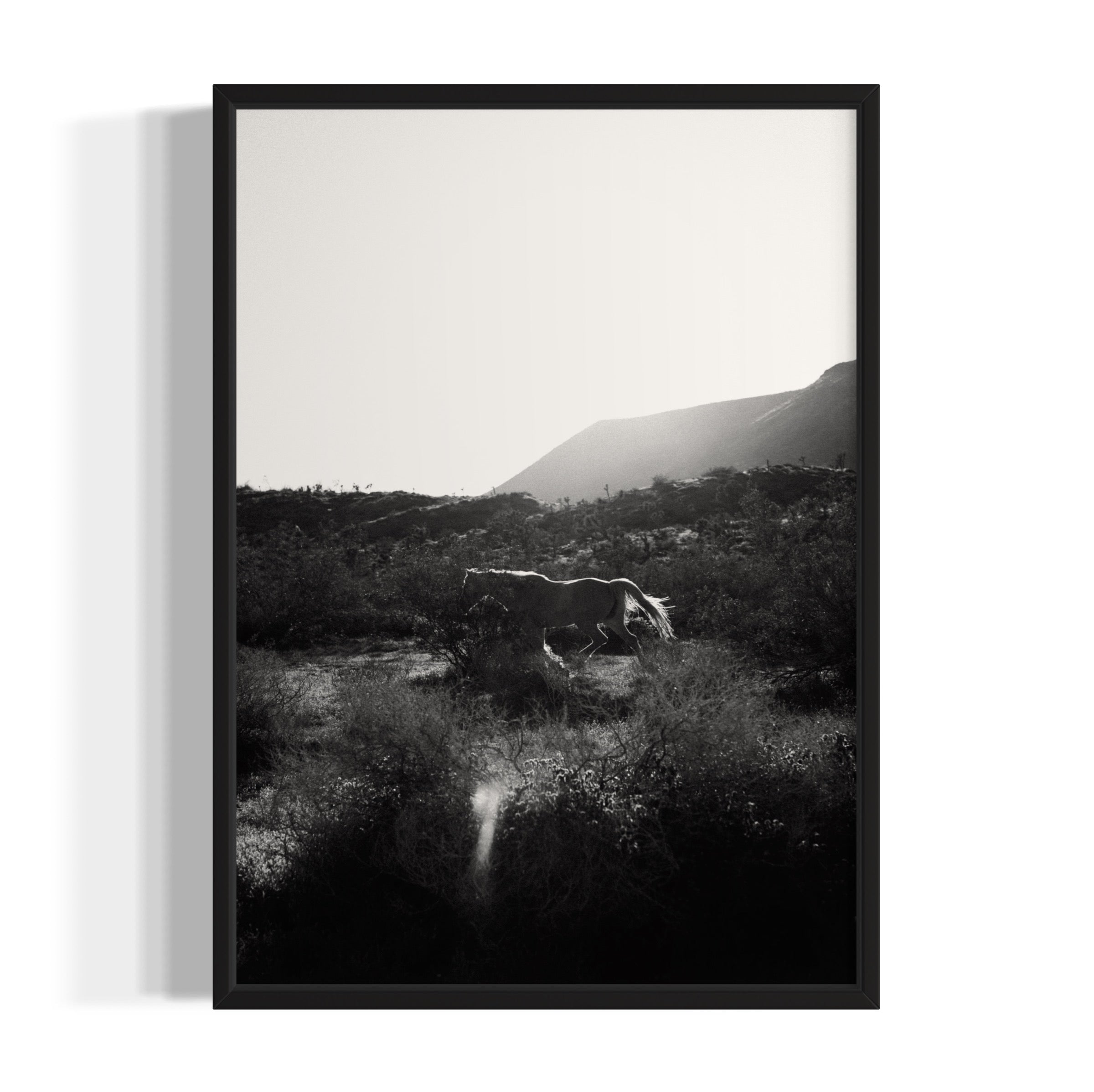 Lonesome Ridge - Wall of Venus