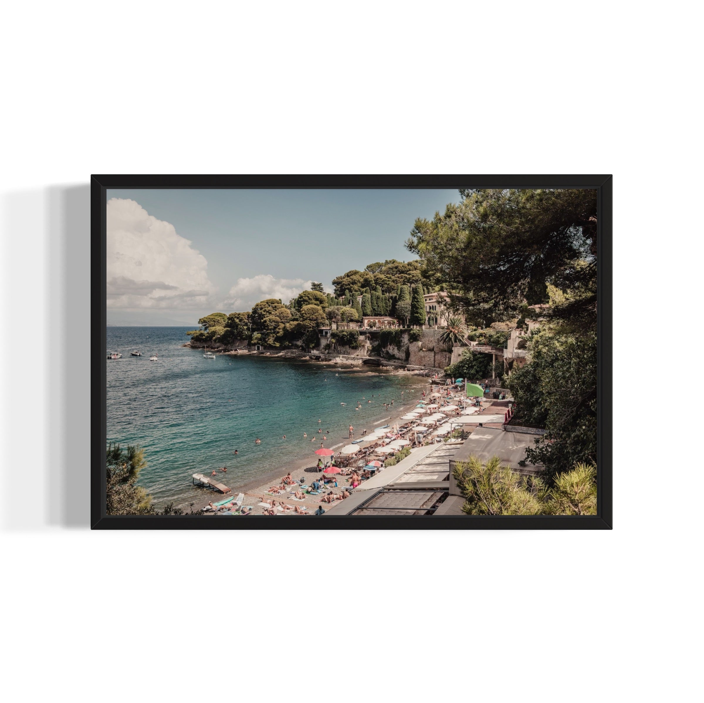 Paloma Beach - Wall of Venus