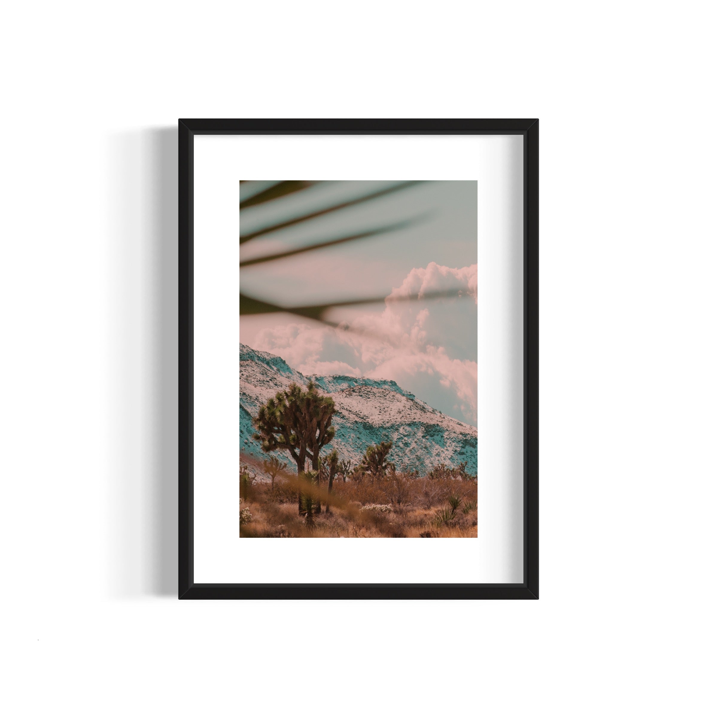 Flamingo Heights - Wall of Venus