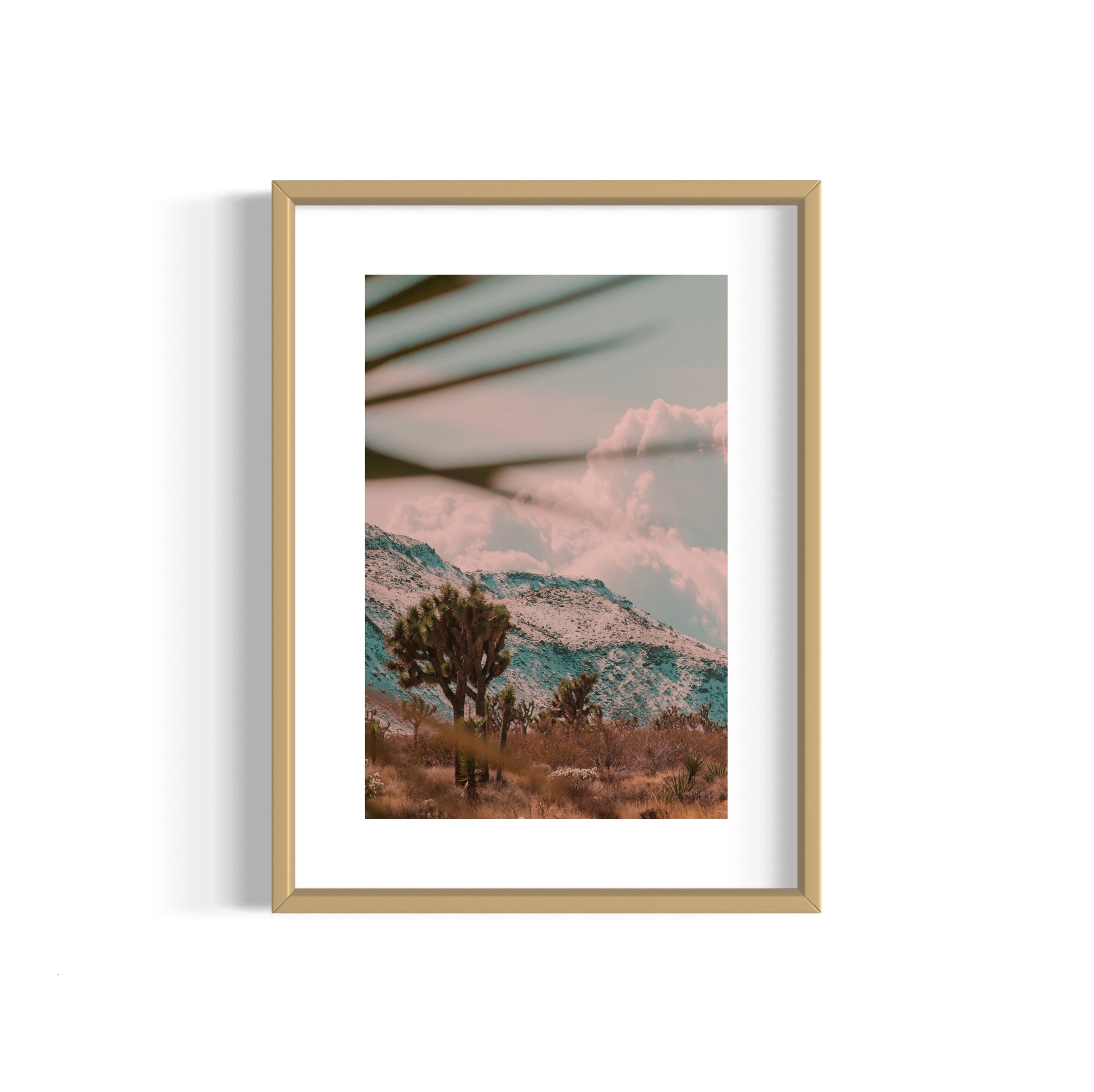 Flamingo Heights - Wall of Venus