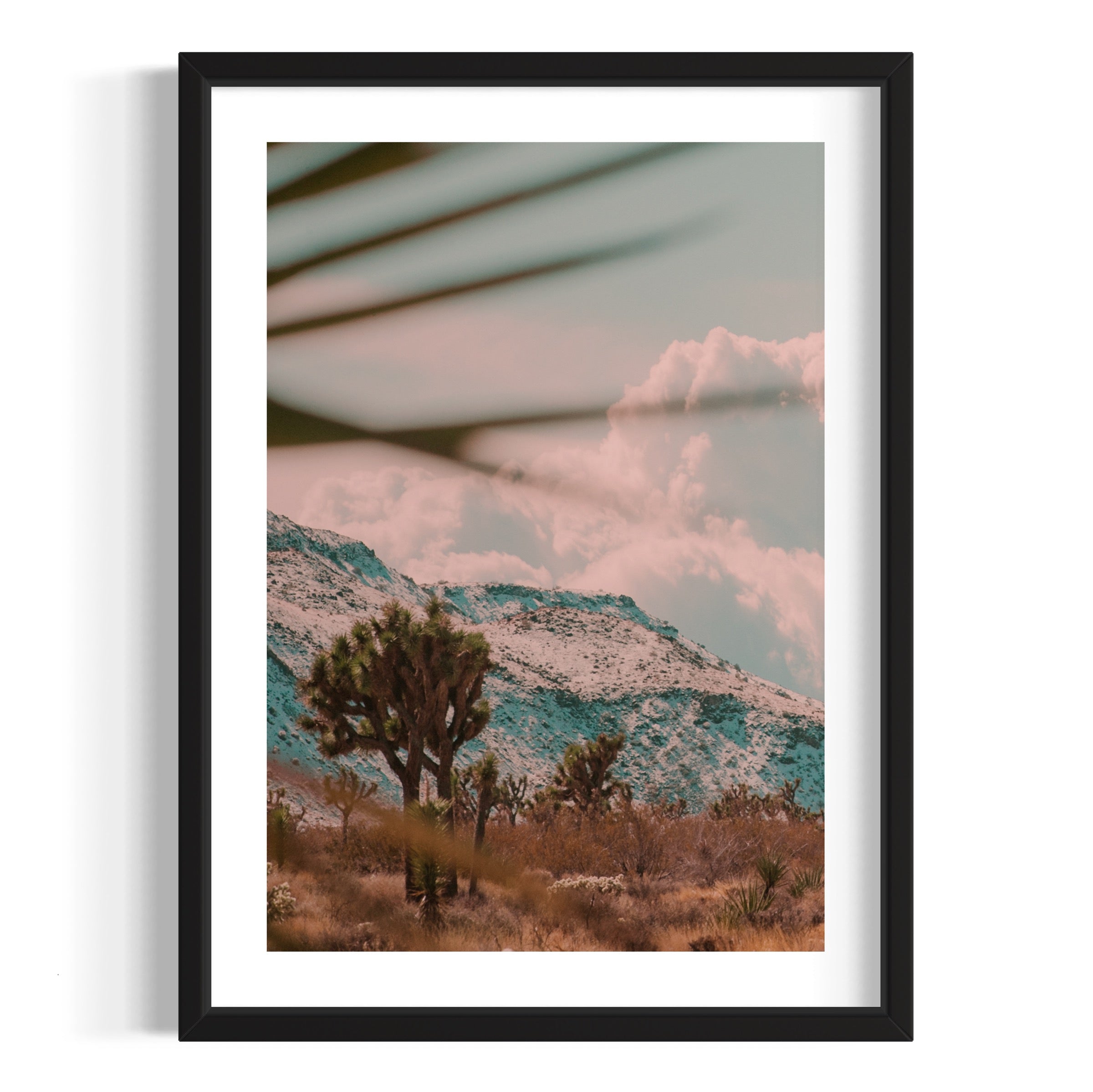 Flamingo Heights - Wall of Venus