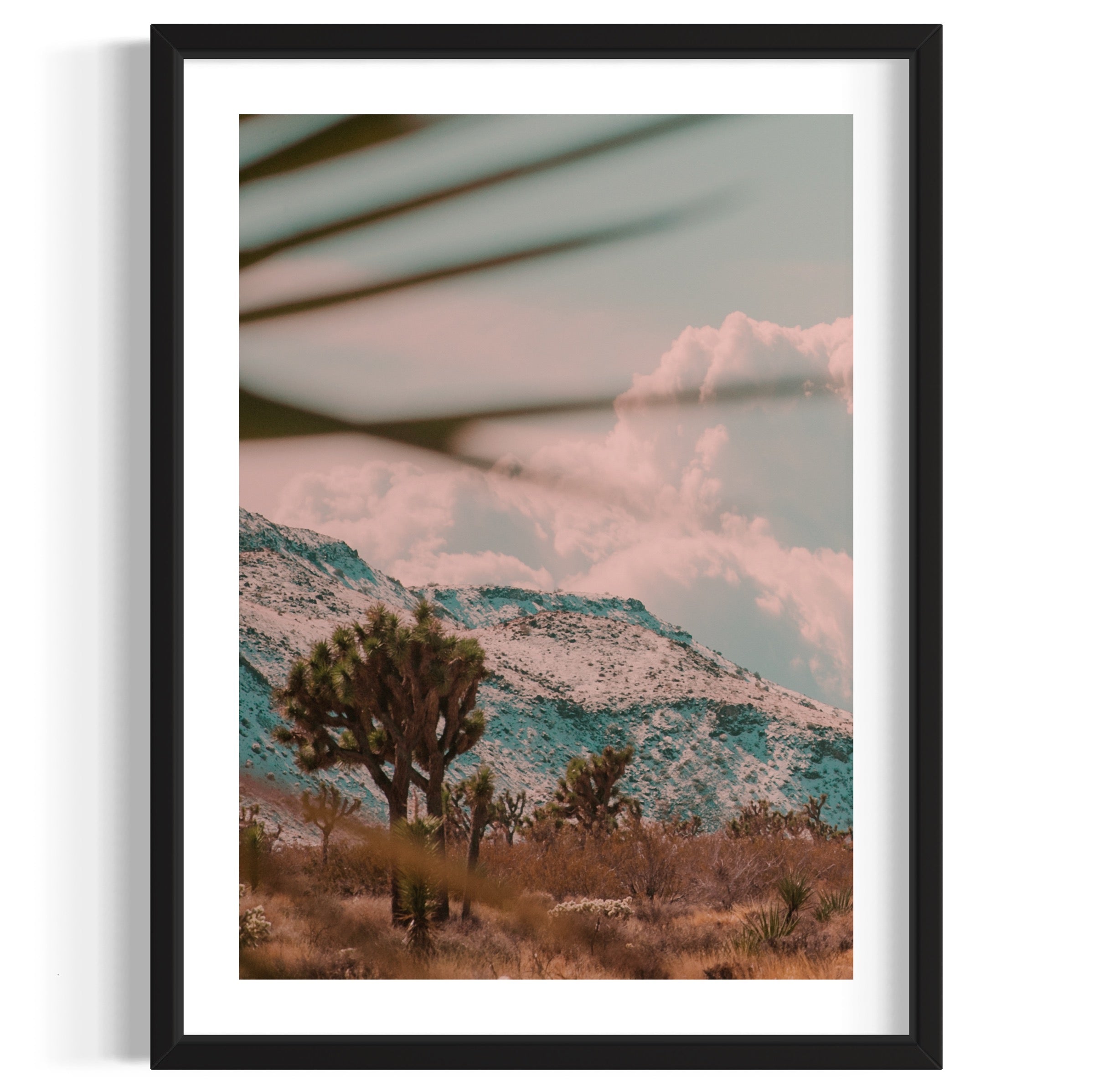 Flamingo Heights - Wall of Venus