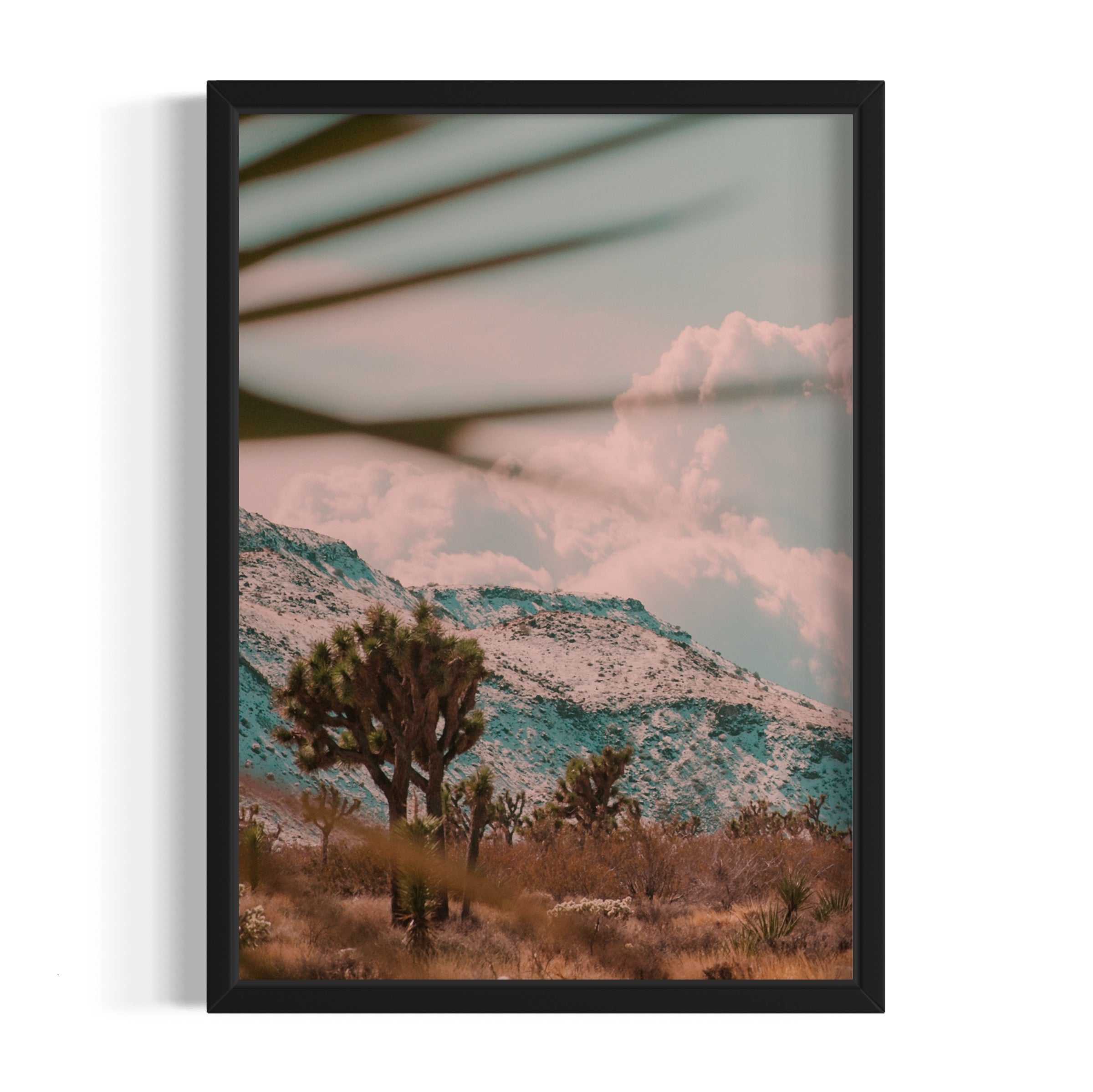 Flamingo Heights - Wall of Venus