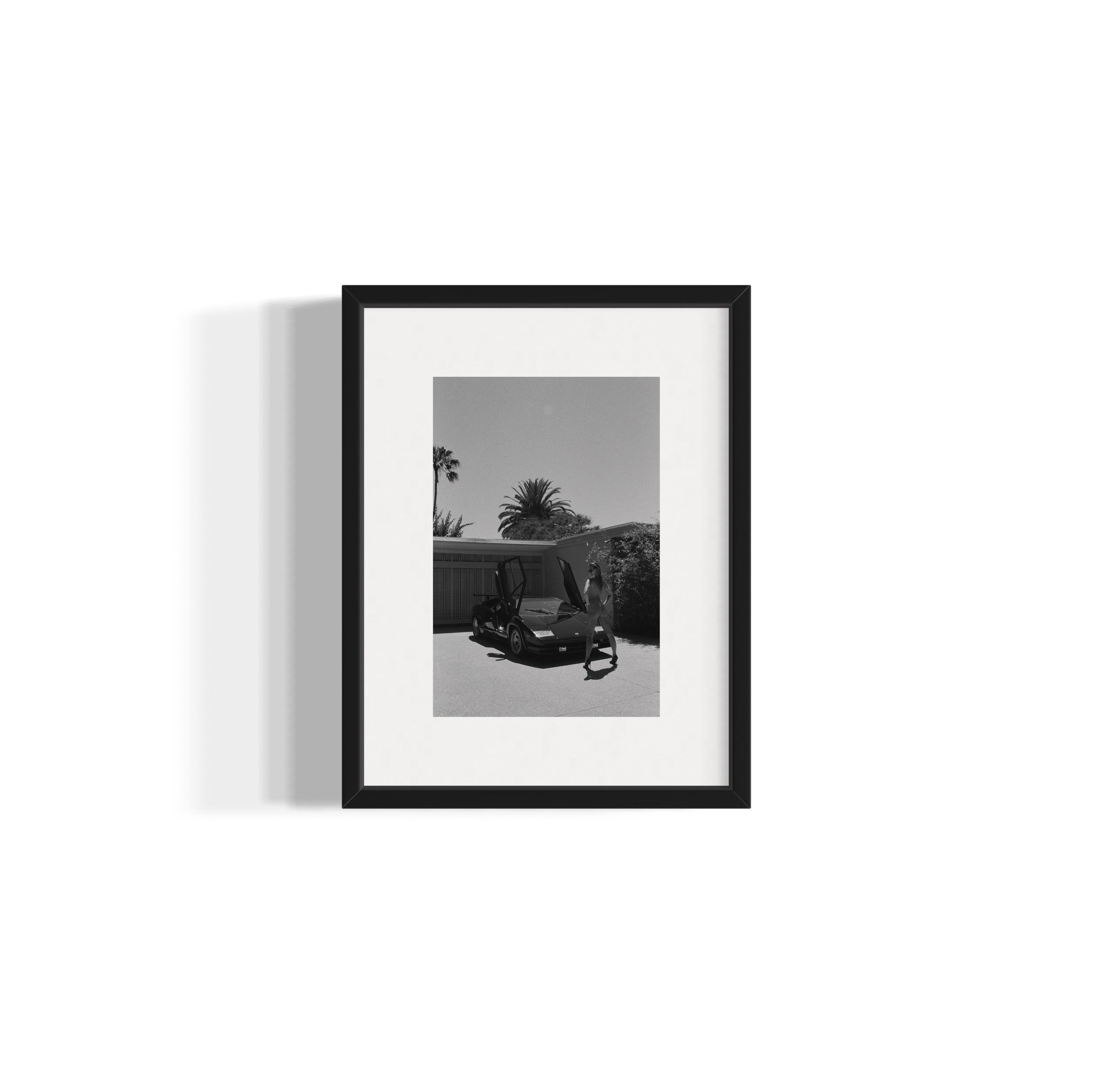 Daily Driver - Wall of Venus