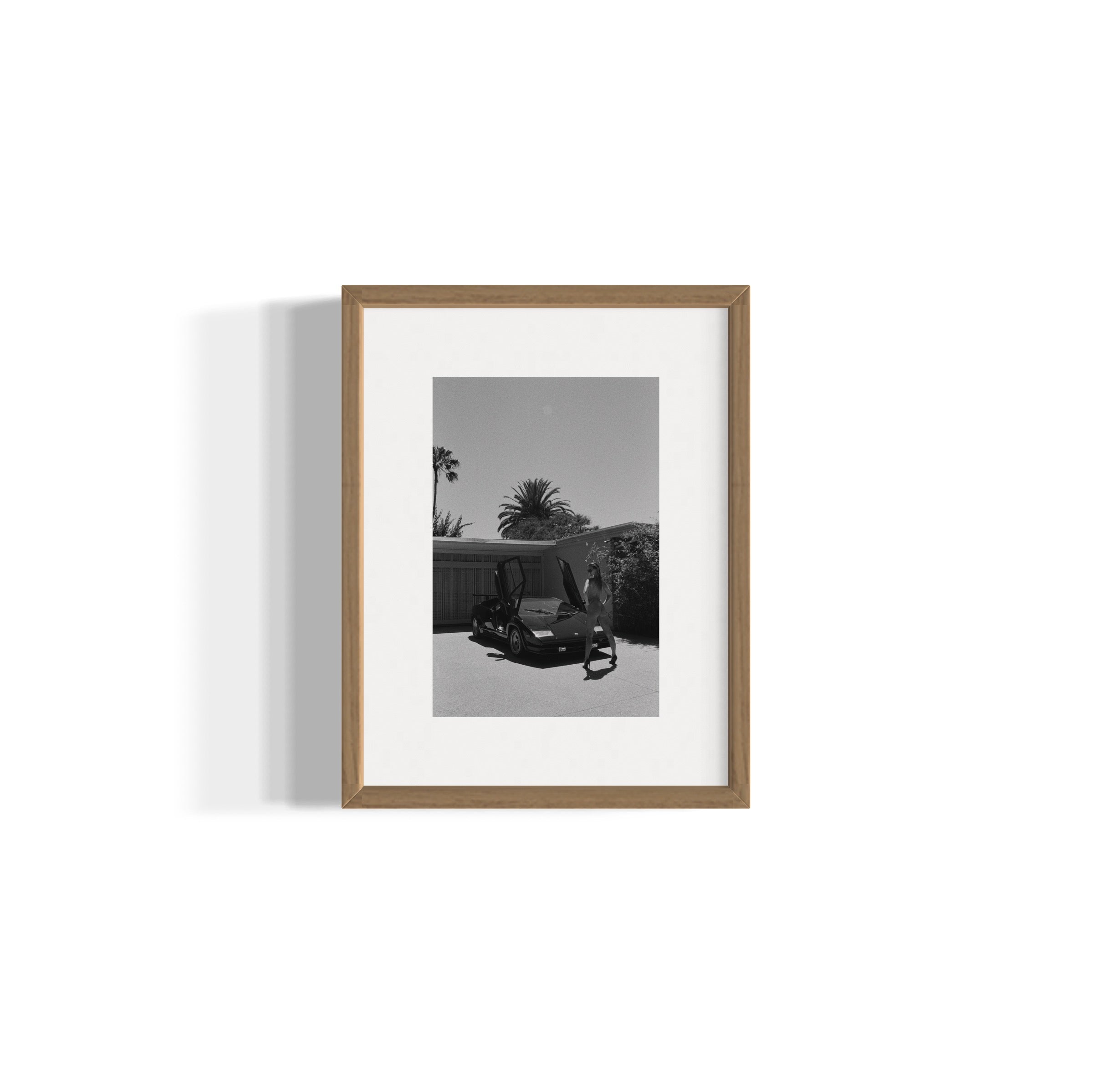 Daily Driver - Wall of Venus