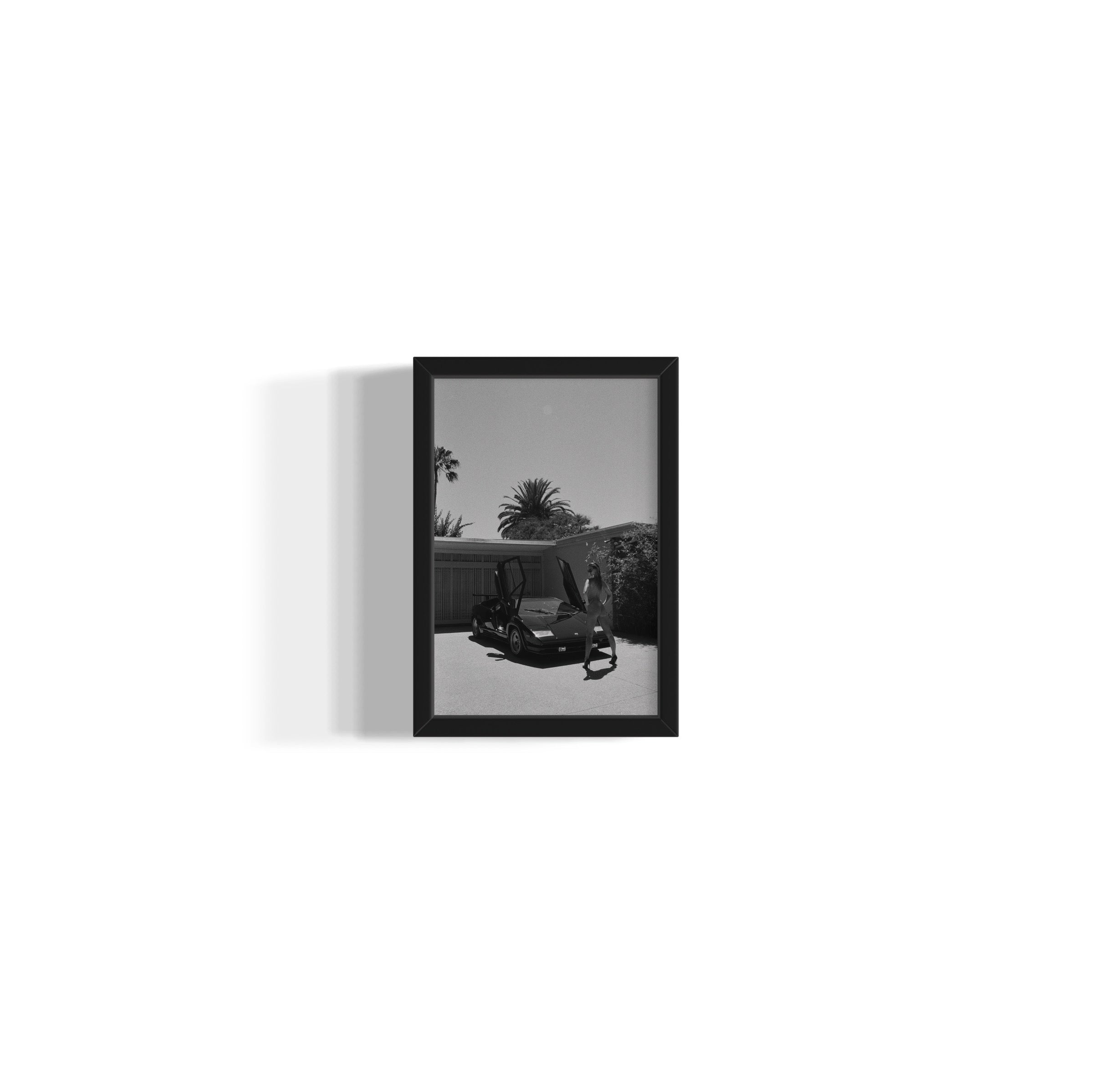 Daily Driver - Wall of Venus