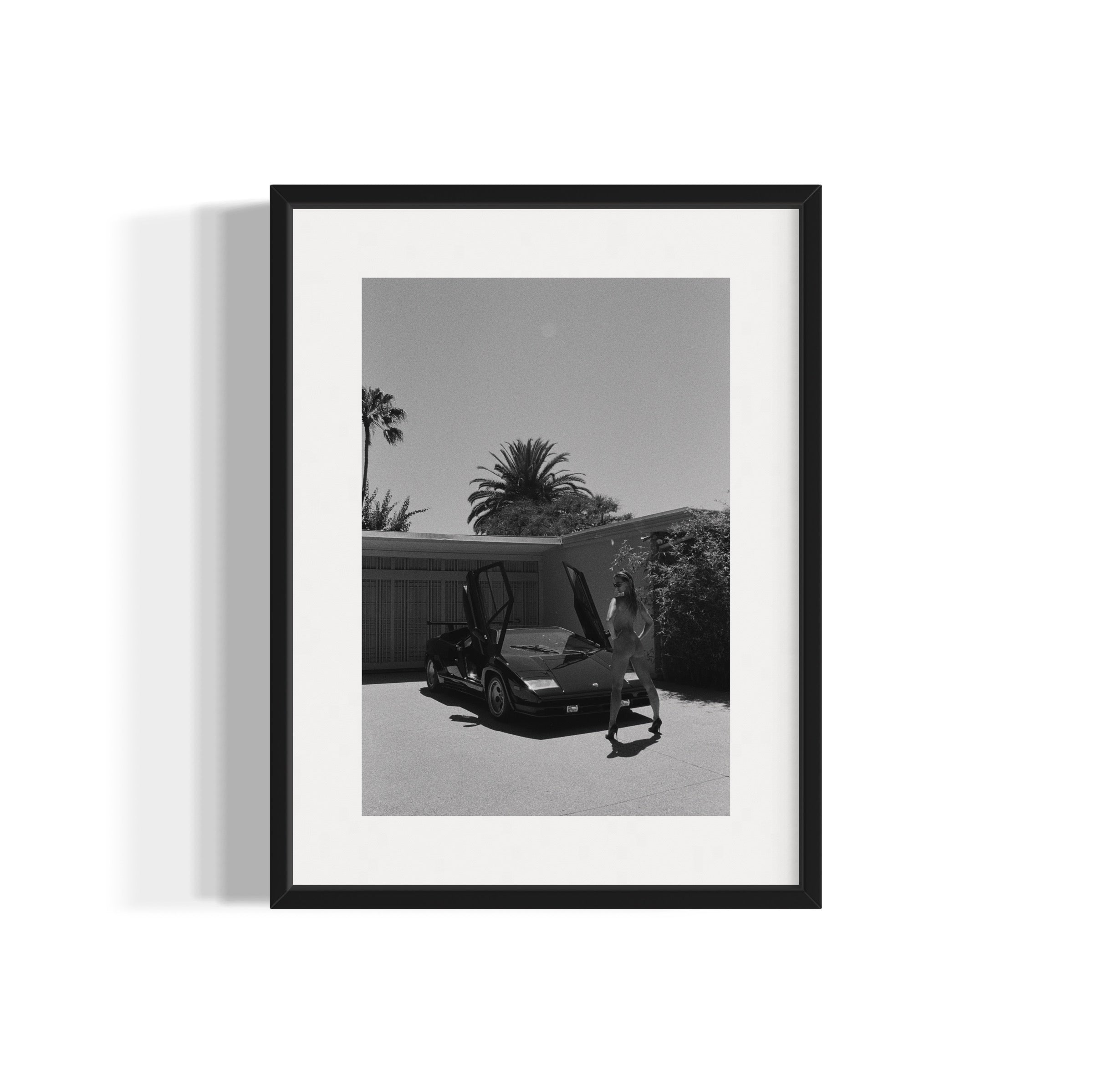 Daily Driver - Wall of Venus