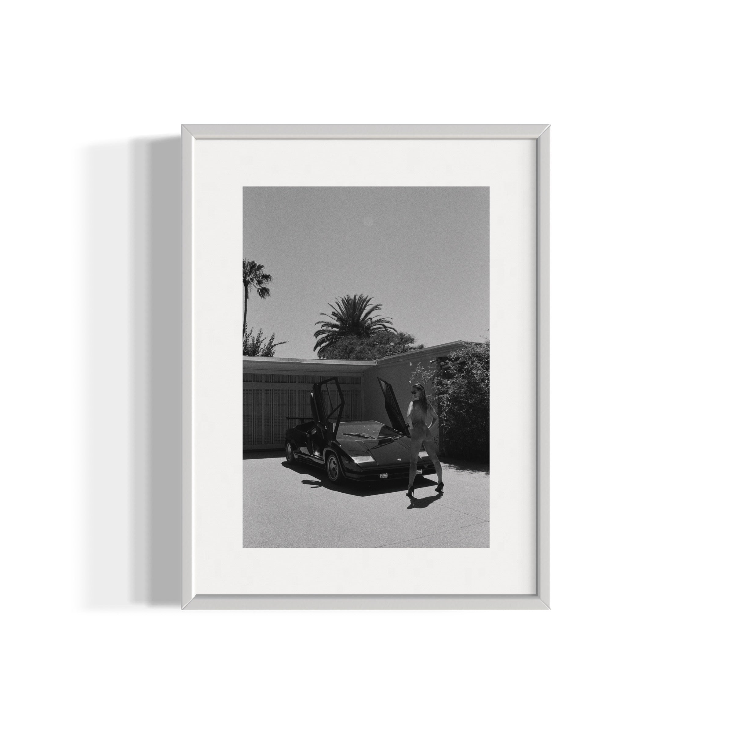 Daily Driver - Wall of Venus