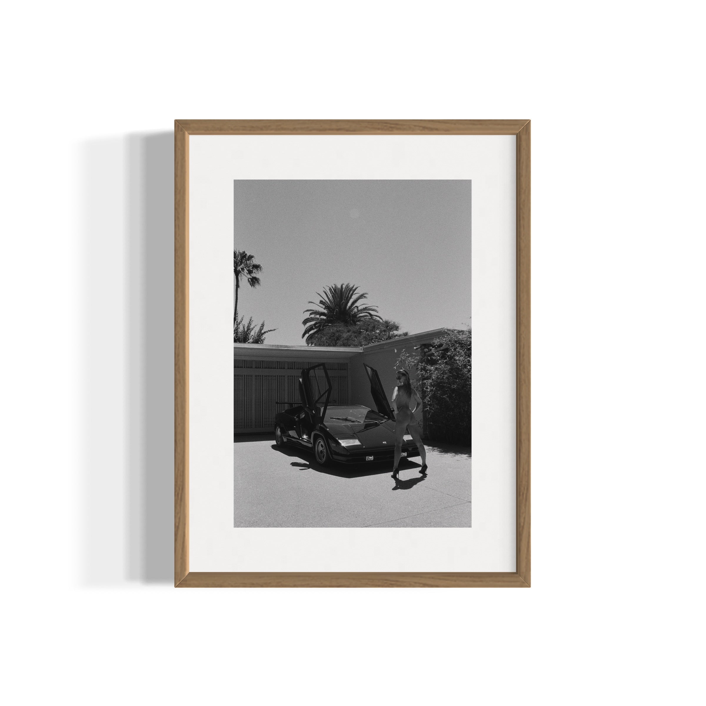 Daily Driver - Wall of Venus