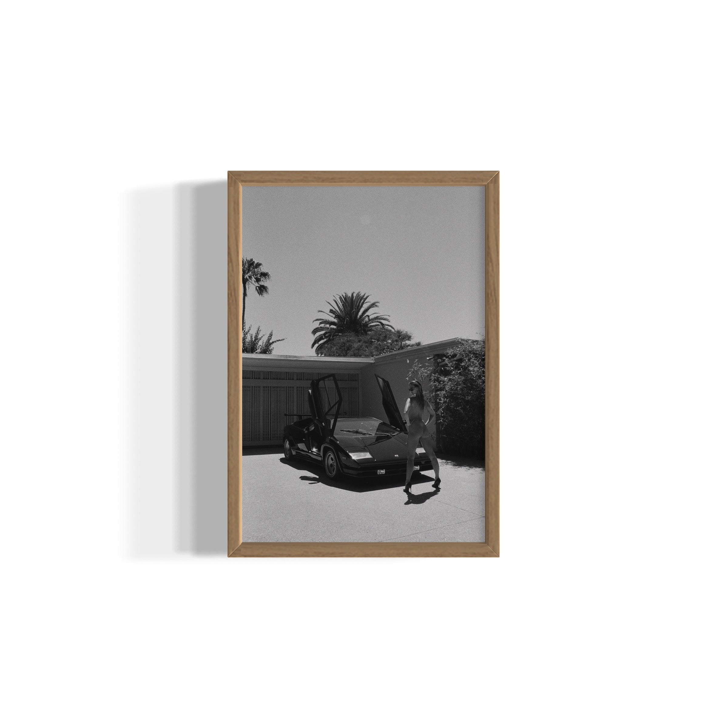 Daily Driver - Wall of Venus