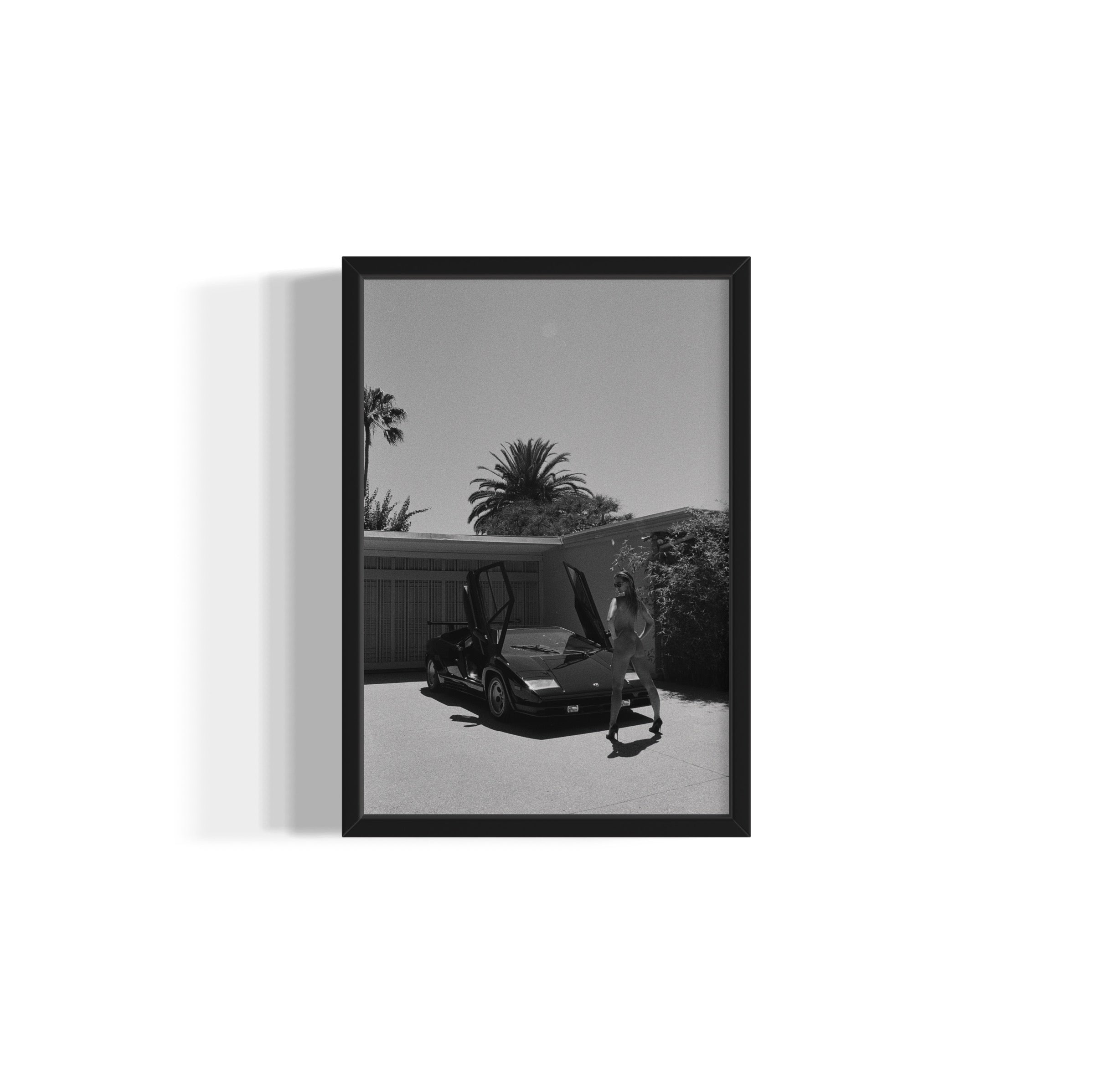 Daily Driver - Wall of Venus