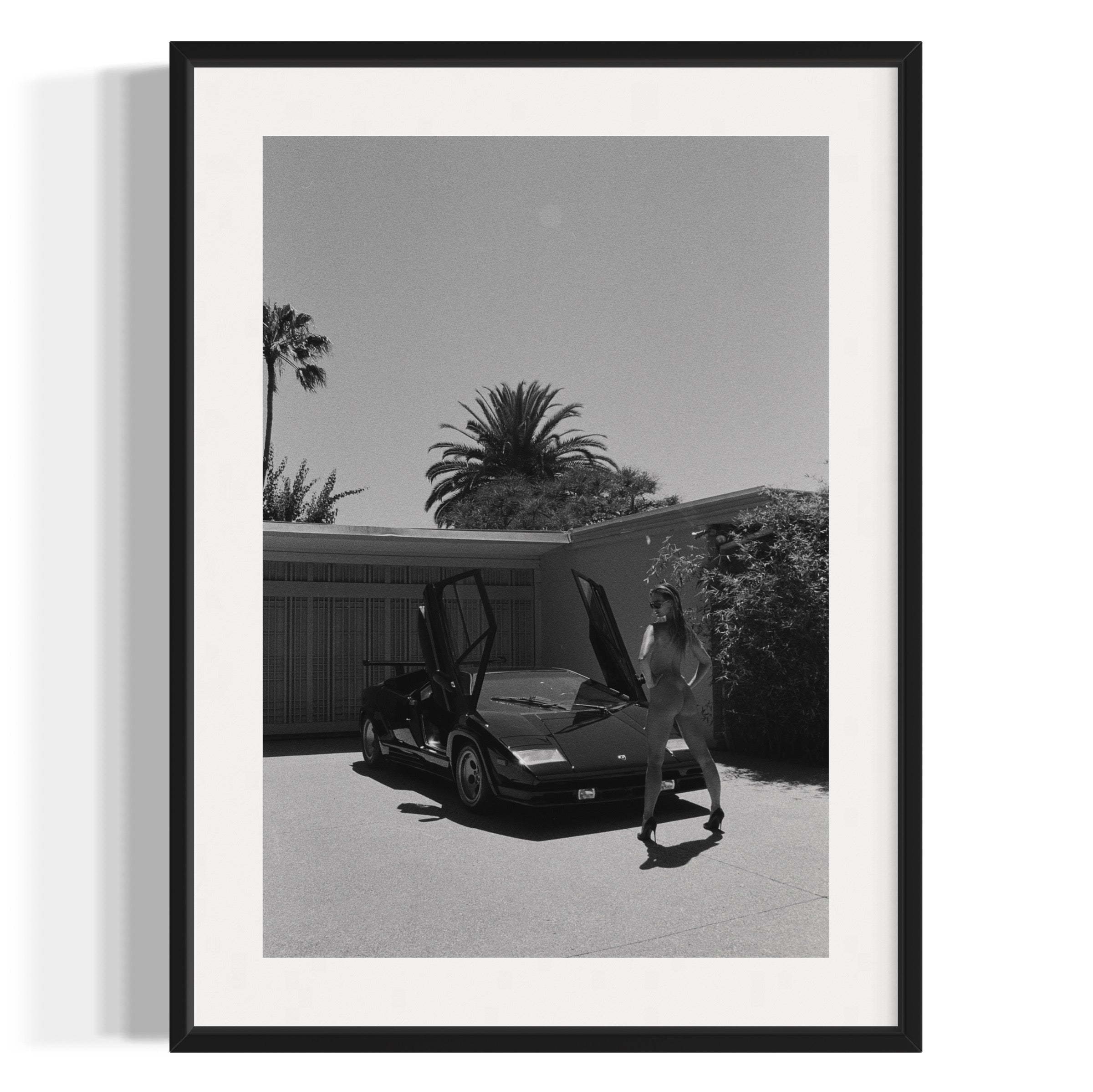 Daily Driver - Wall of Venus